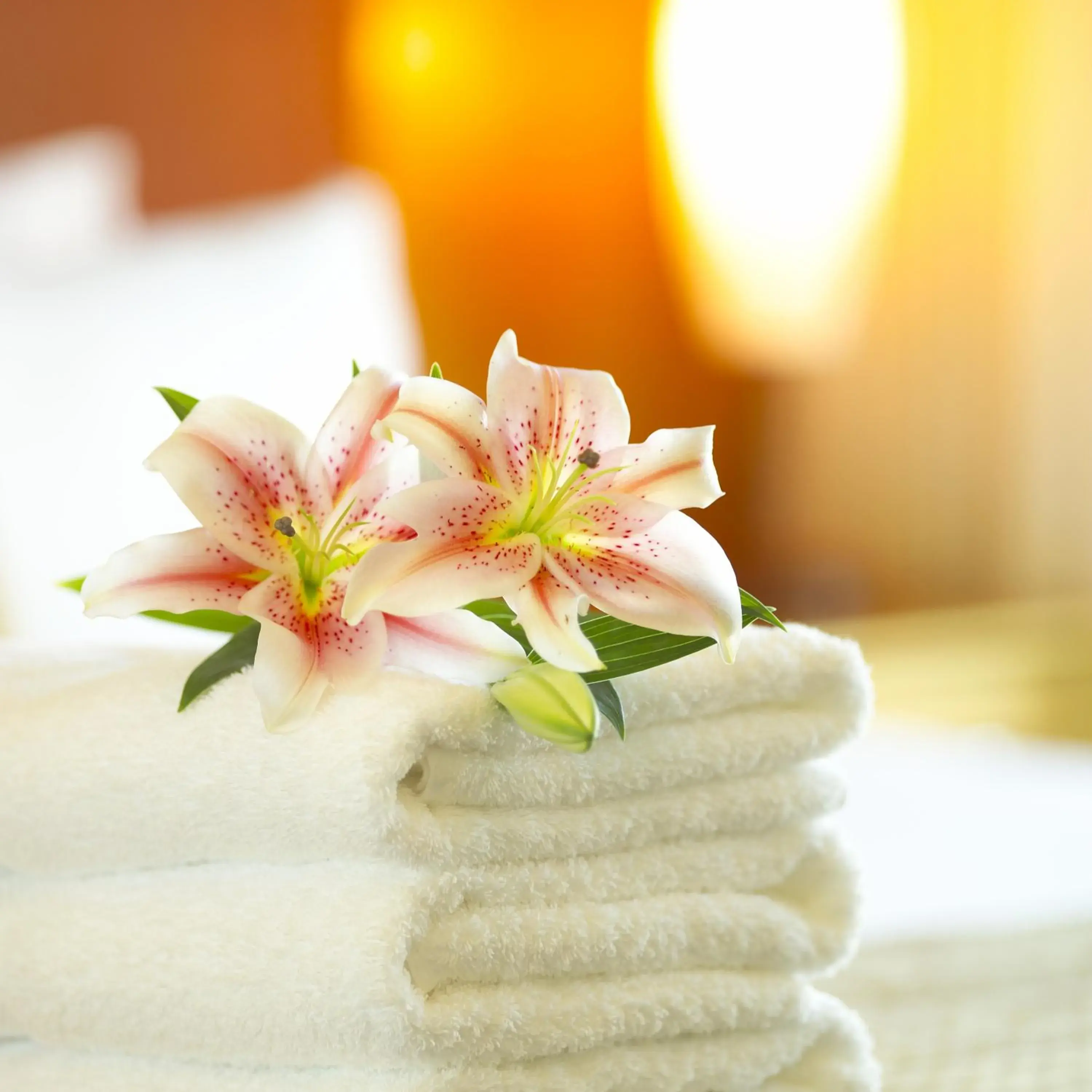 Decorative detail, Bed in Intercity Gravataí Decorative detail, Bed in Intercity Gravataí