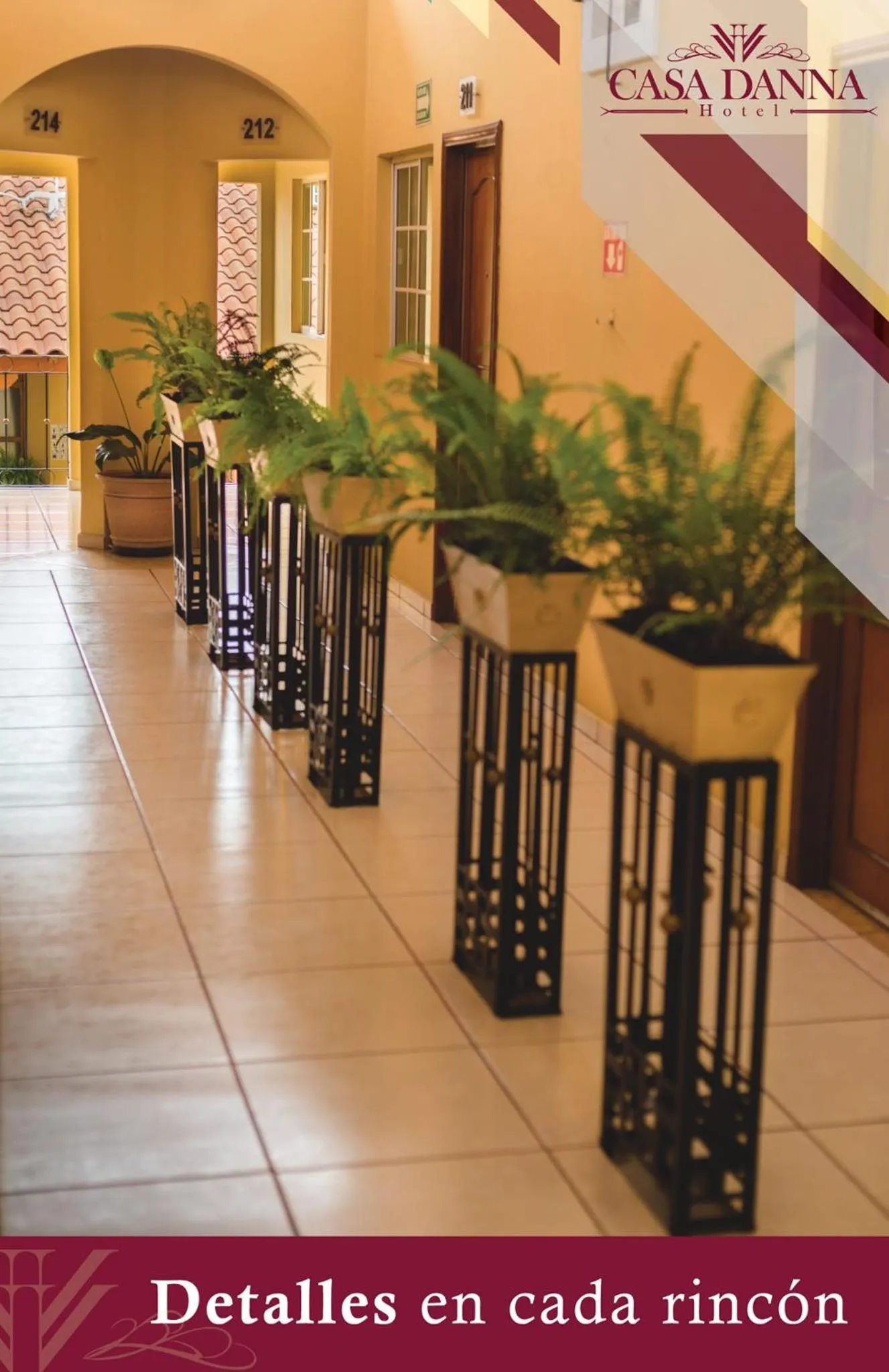 Area and facilities in Hotel Casa Danna