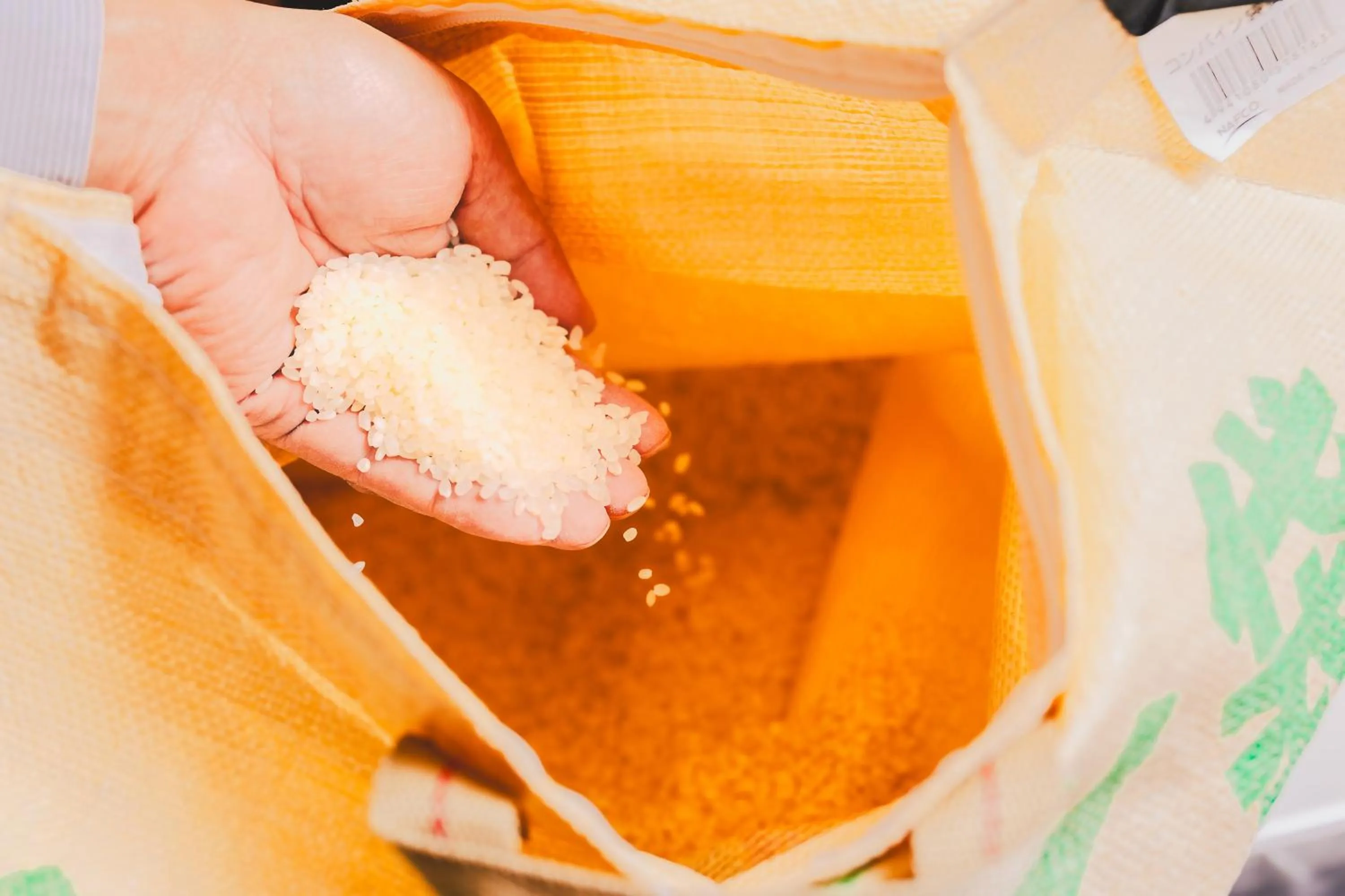 Breakfast in Van Cort Landt Hotel