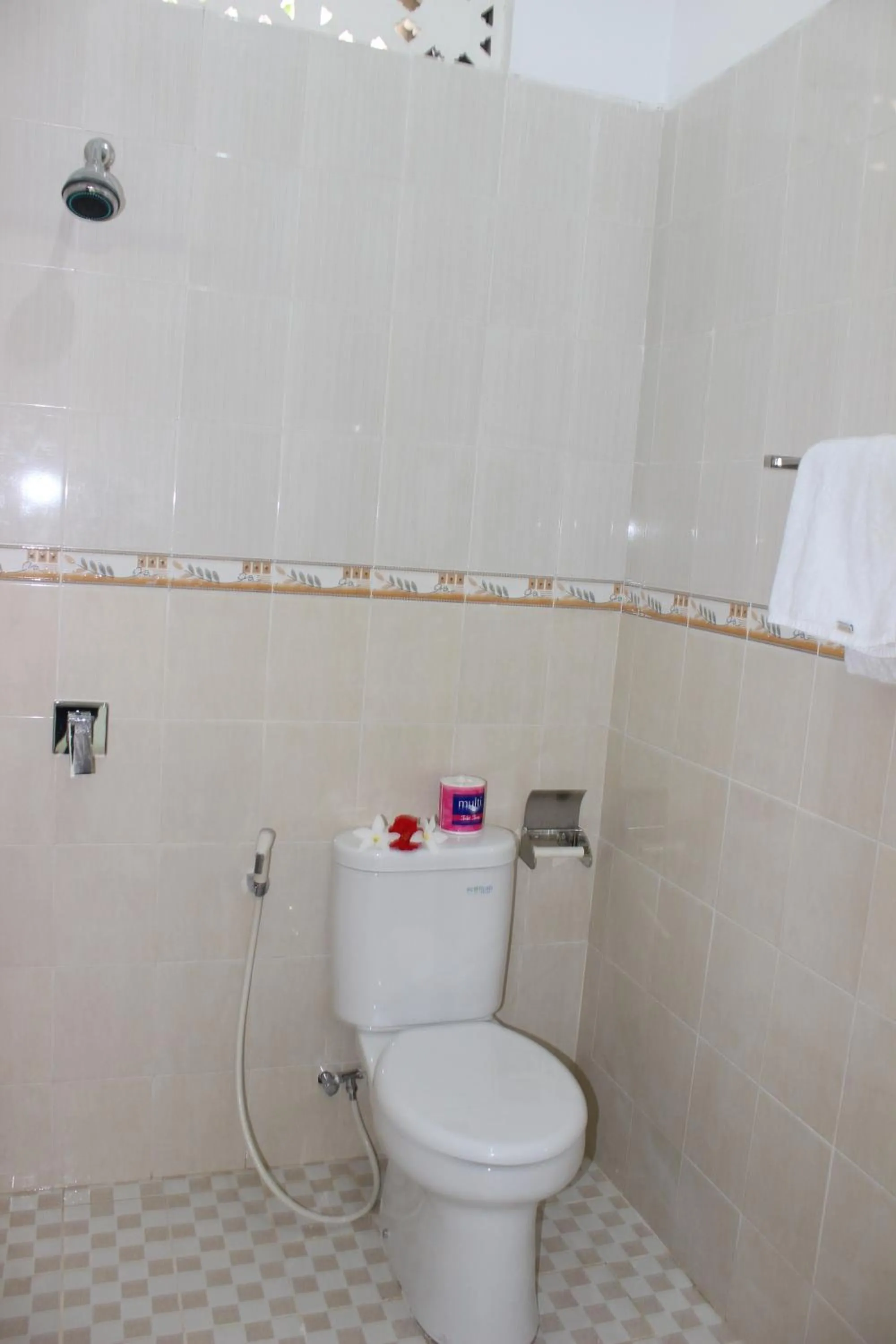 Toilet in Sudiana House
