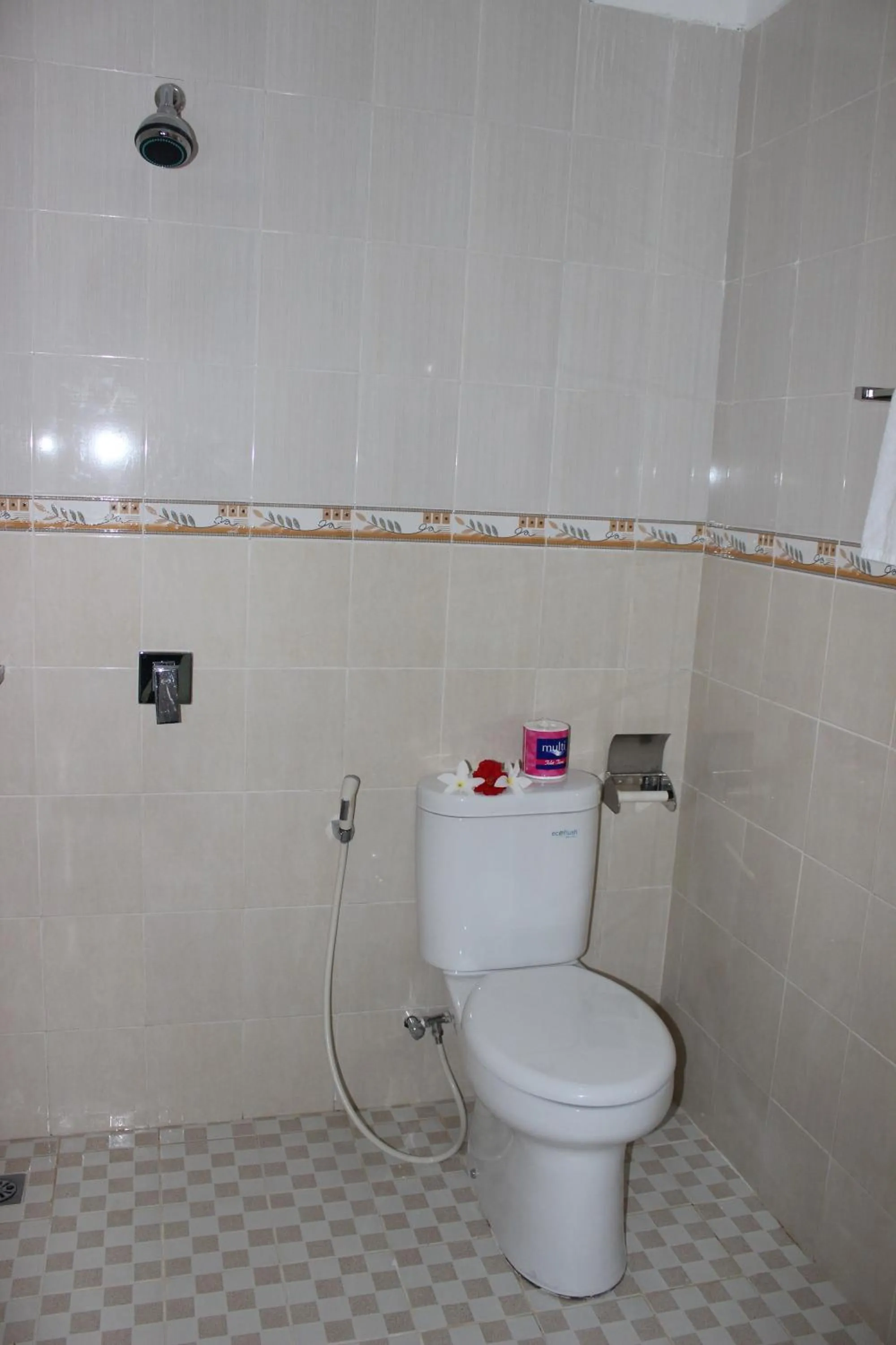 Toilet in Sudiana House