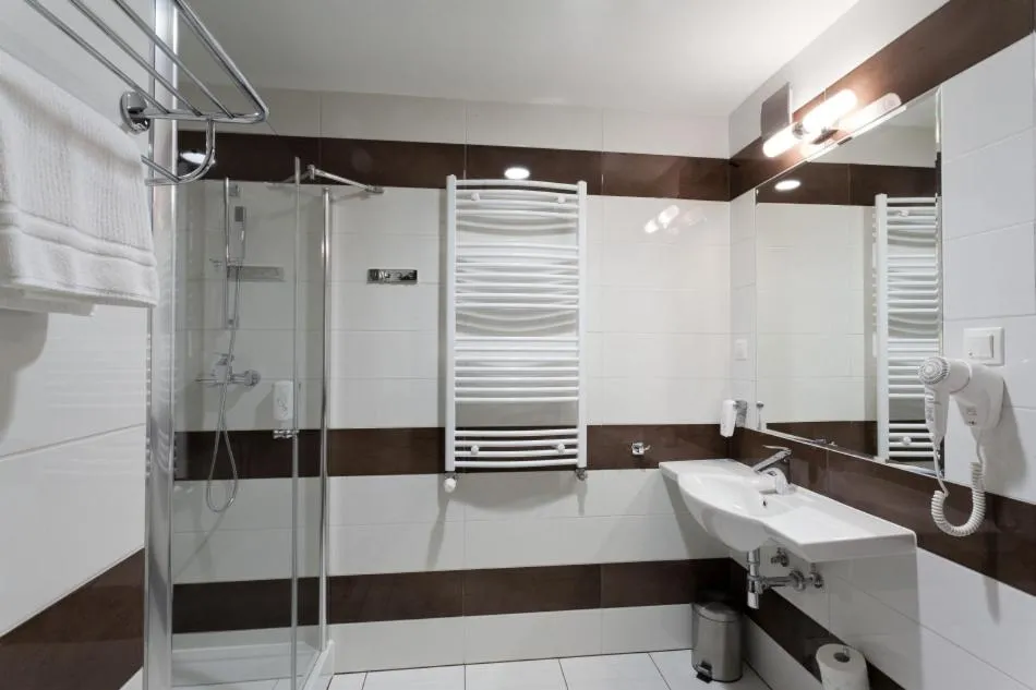 Bathroom in Hotel Milenium