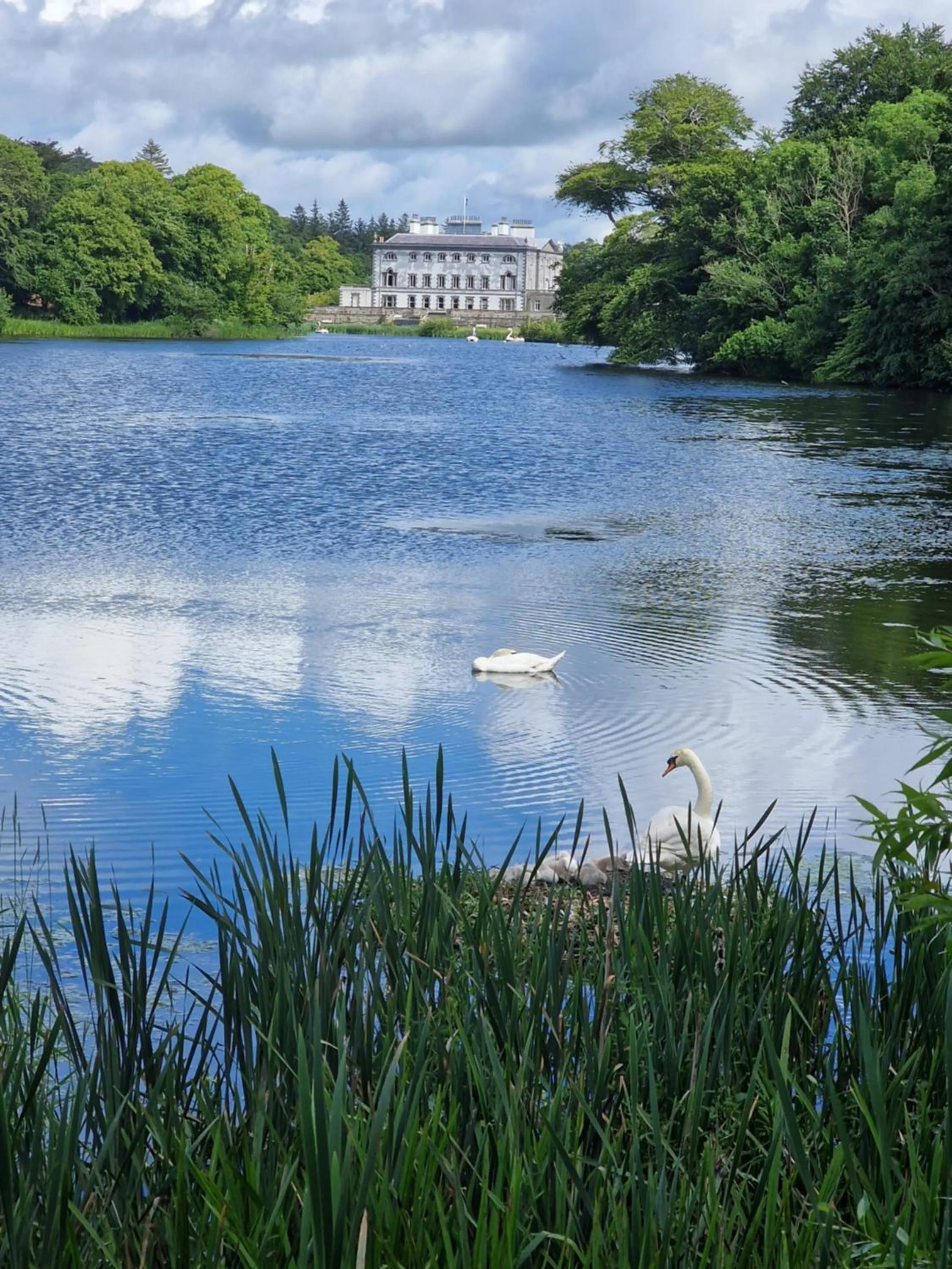 Nearby landmark in Greenside B&B