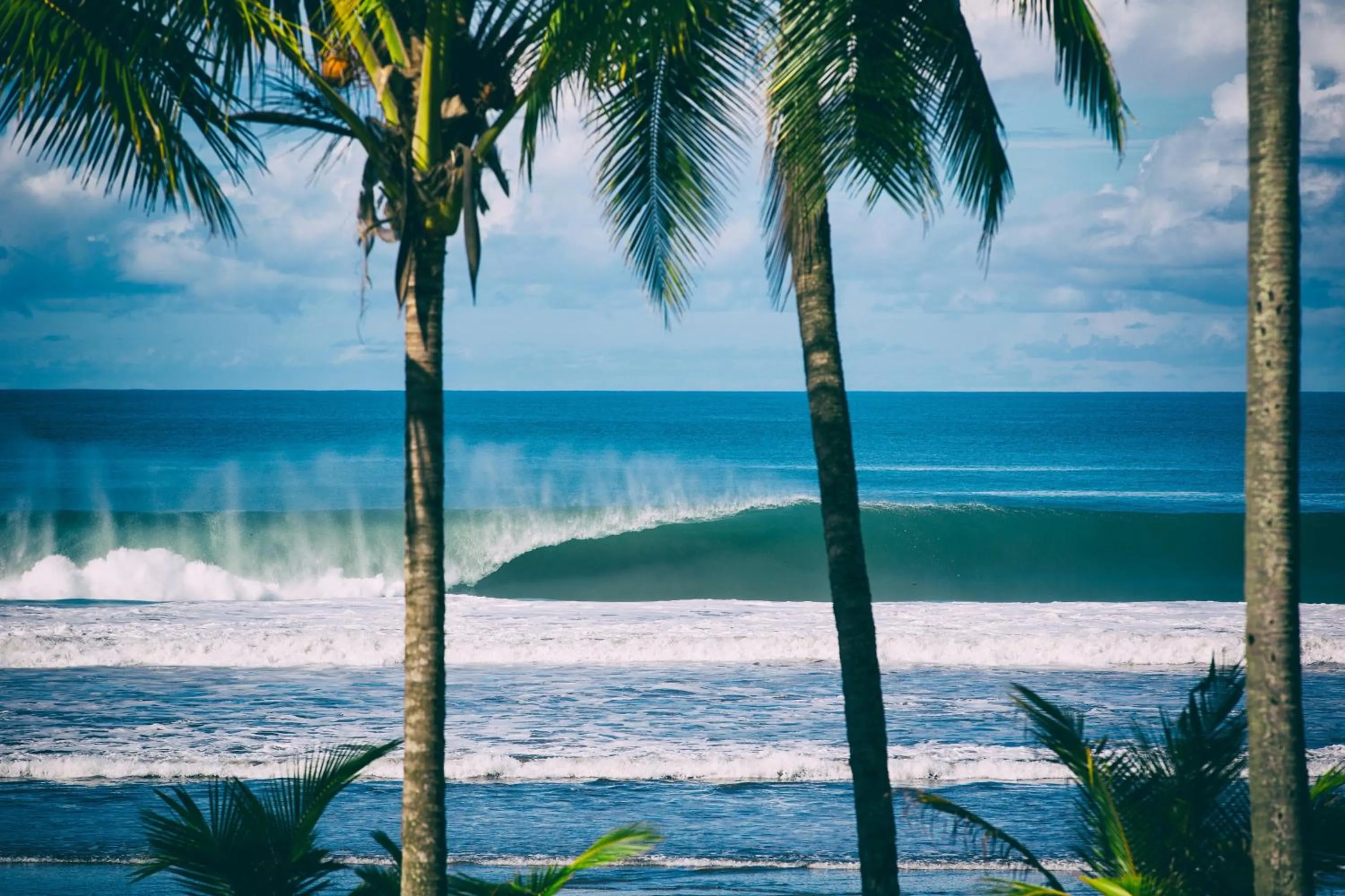 Natural landscape in Hotel Clandestino beach resort