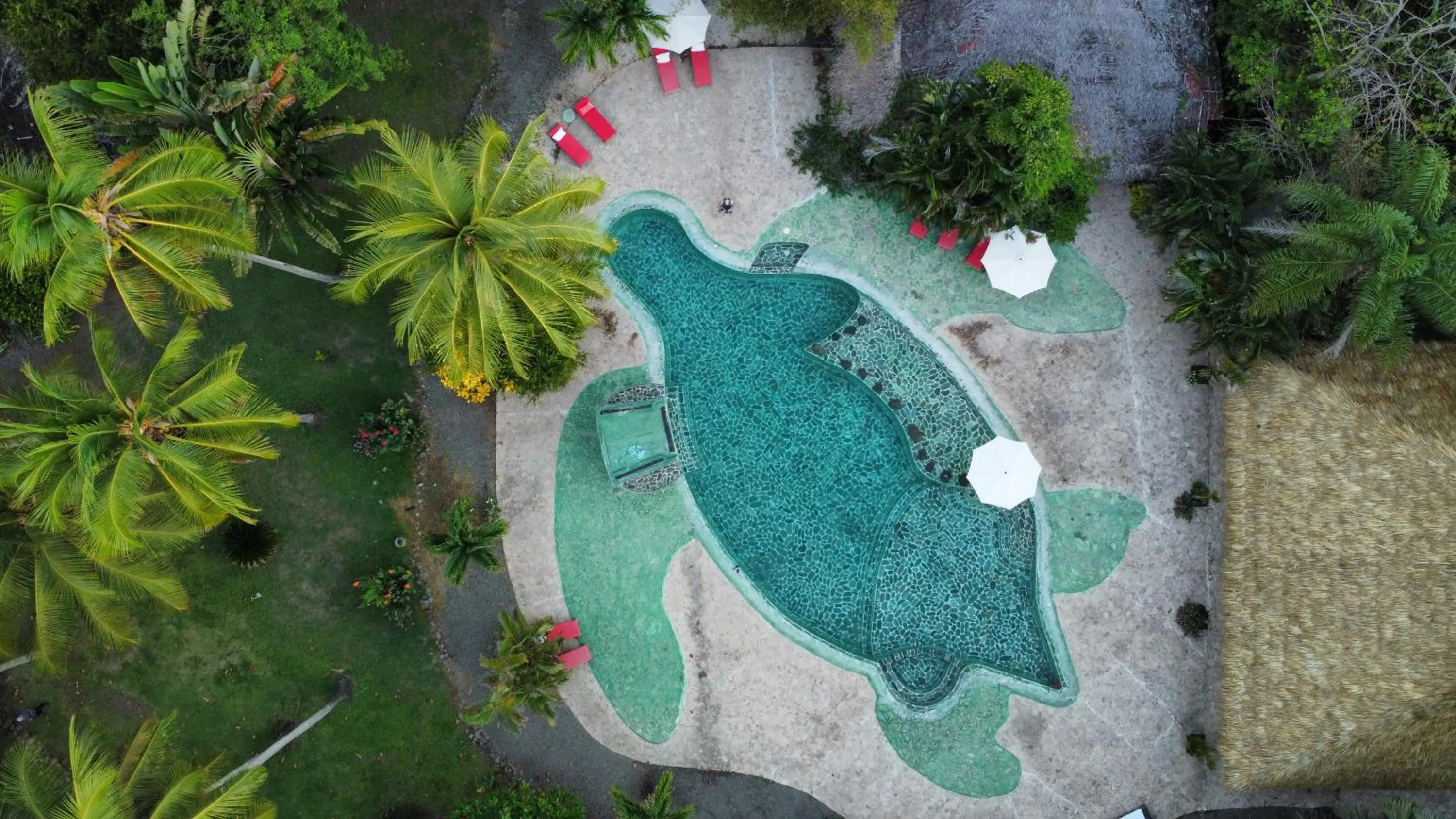 Pool view in Hotel Clandestino beach resort
