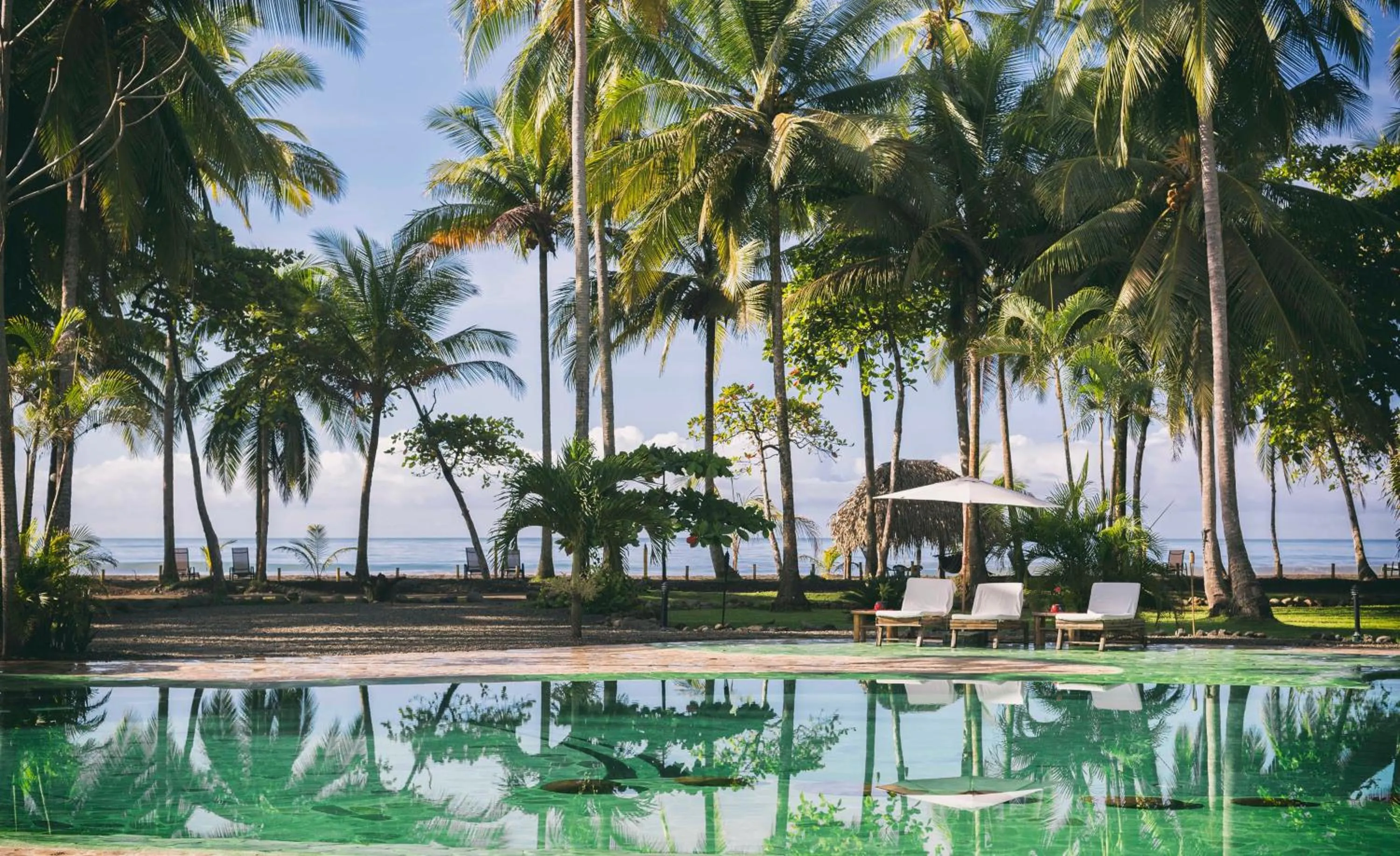 Balcony/Terrace in Hotel Clandestino beach resort