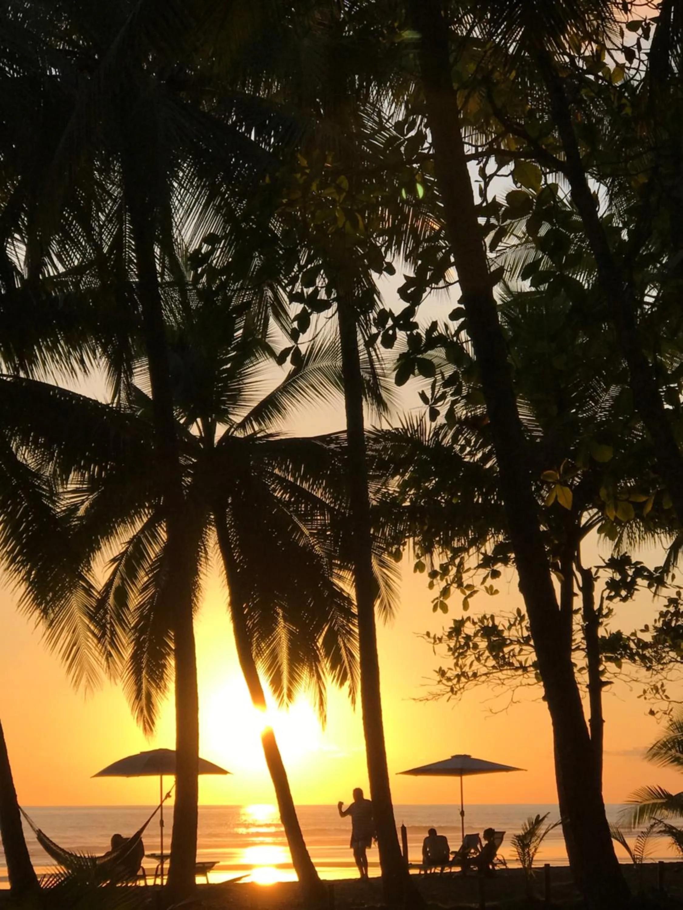 Beach in Hotel Clandestino beach resort