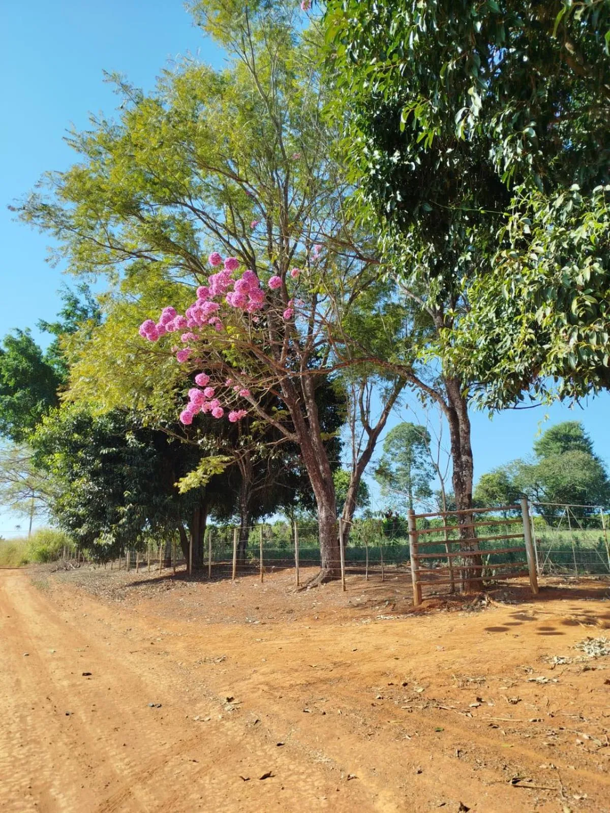 Day in Sitio Cantin