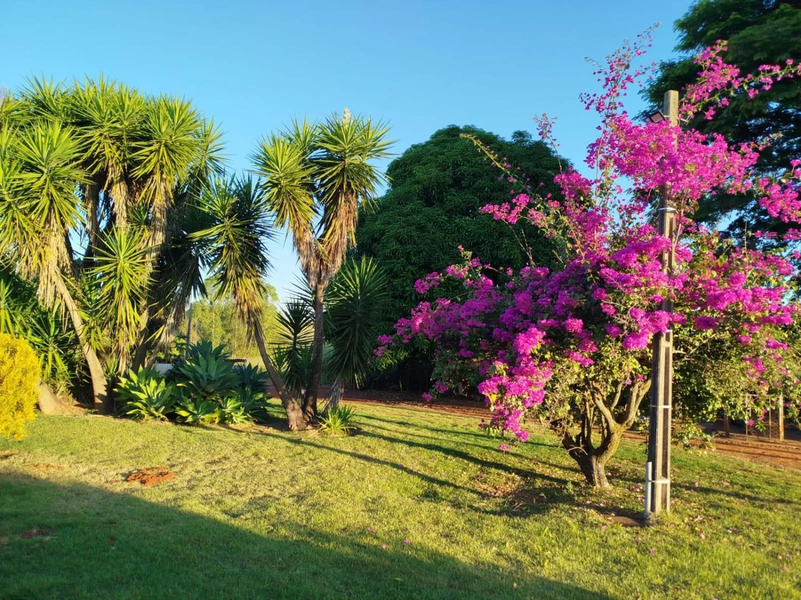 Day in Sitio Cantin