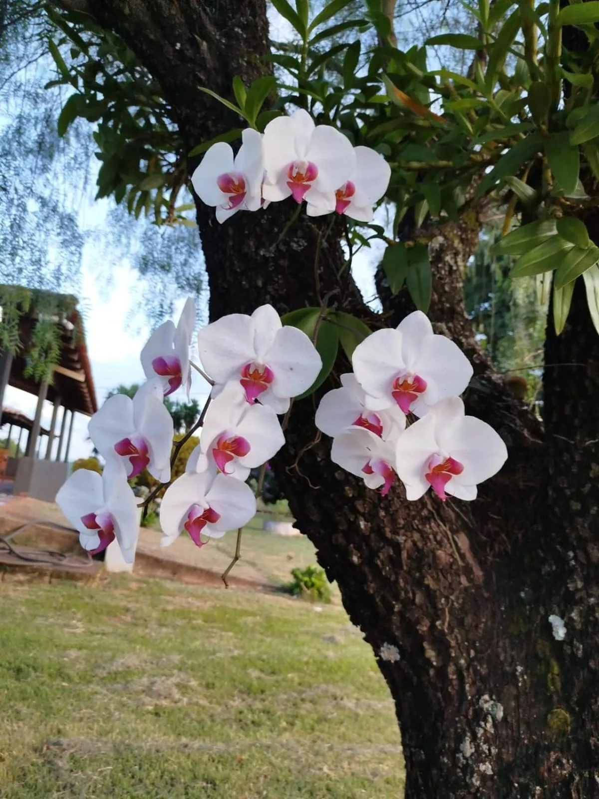 Day in Sitio Cantin