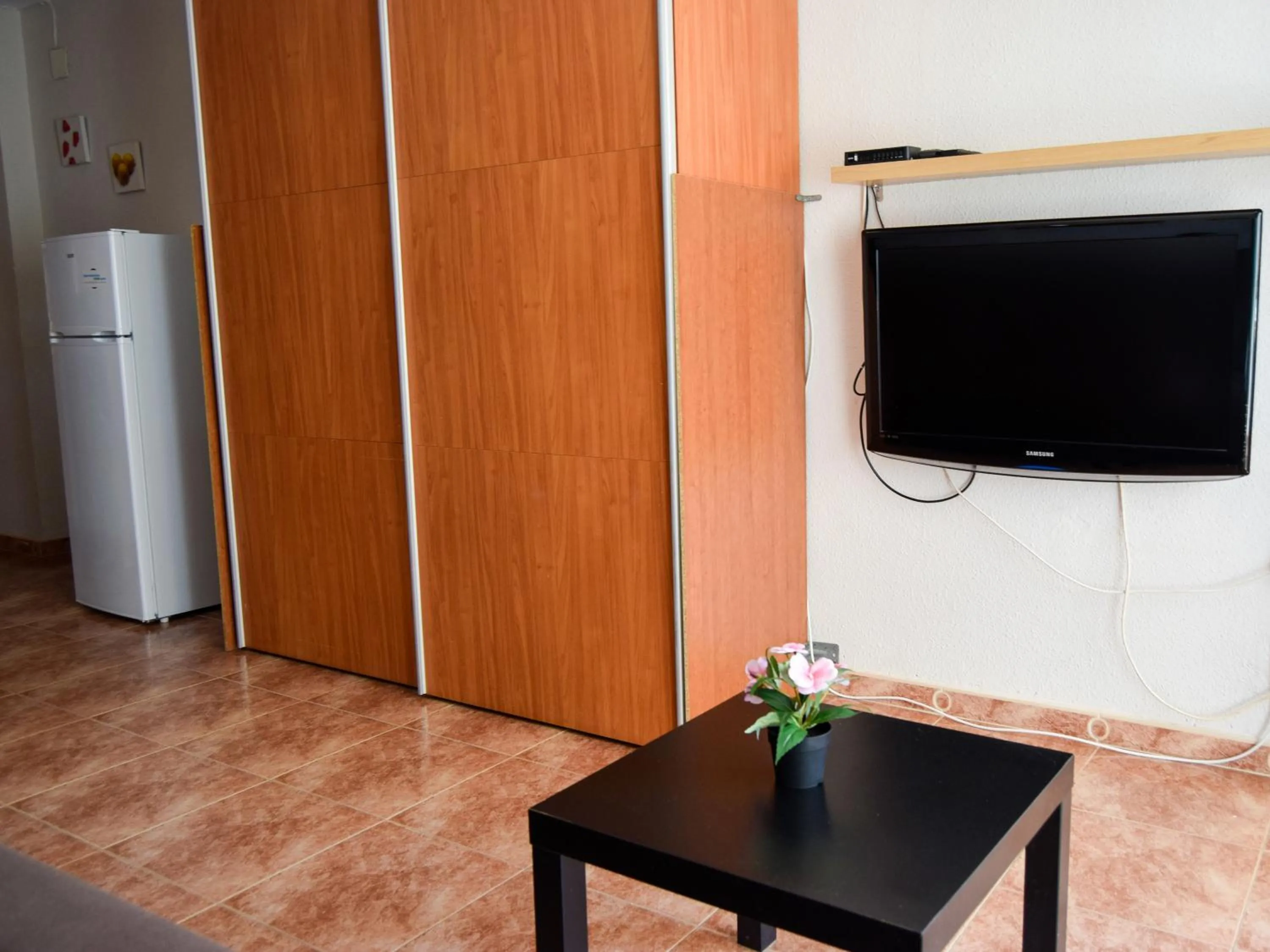 TV and multimedia in Apartamento Gandia Bellreguard 3000