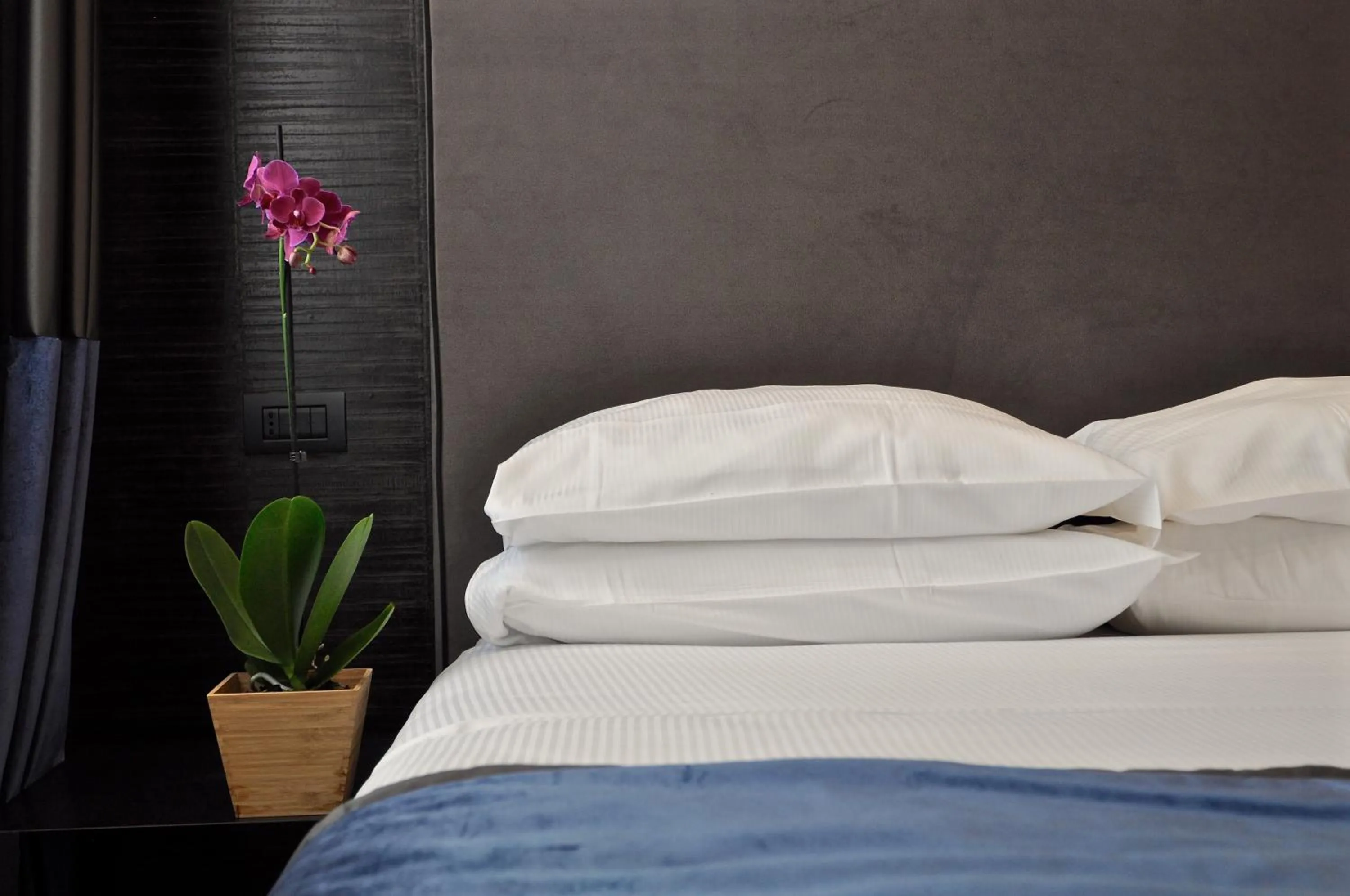 Decorative detail, Bed in Place 24 Suites & Wellness