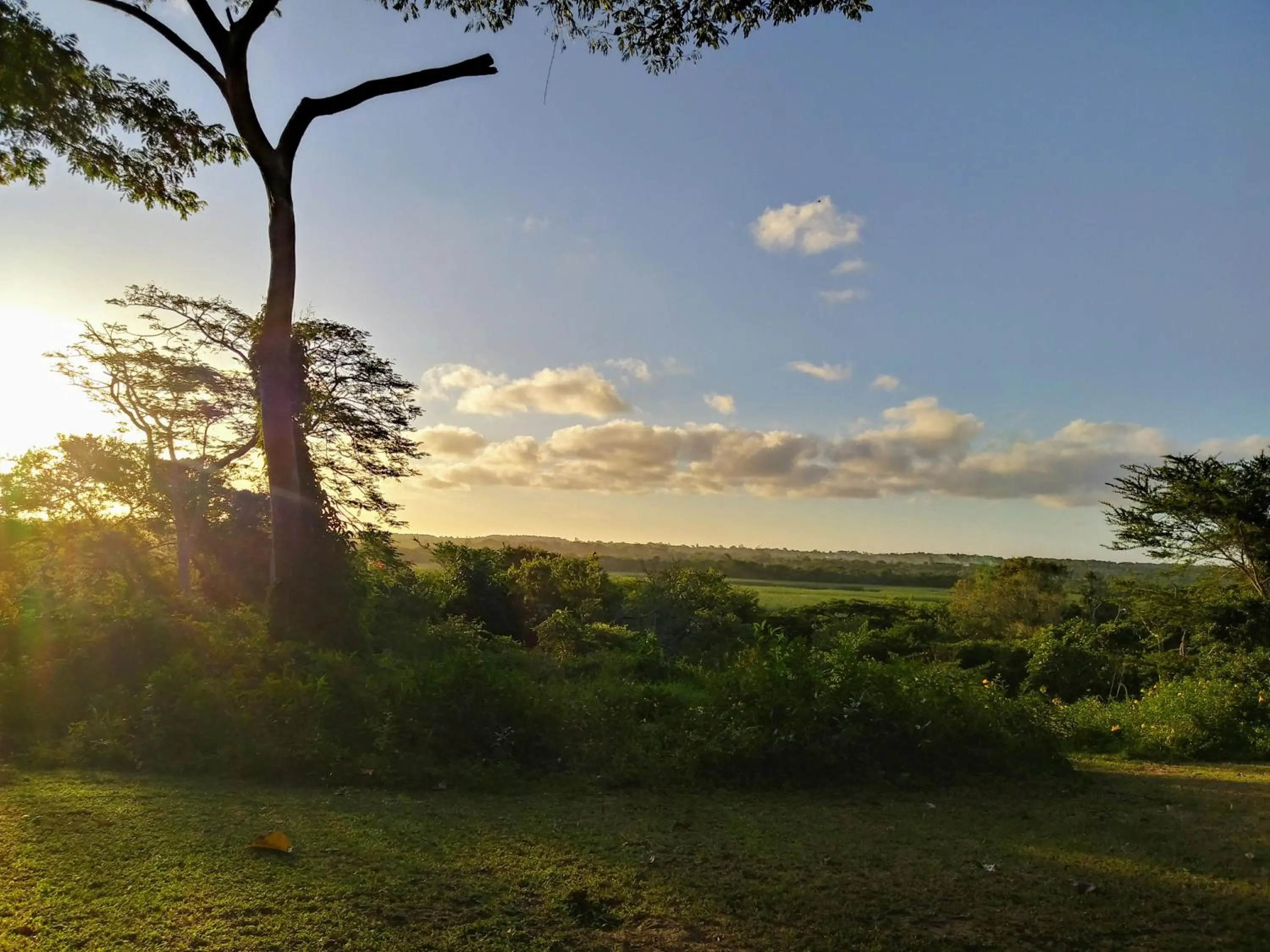 Garden view in St Lucia Kingfisher Lodge