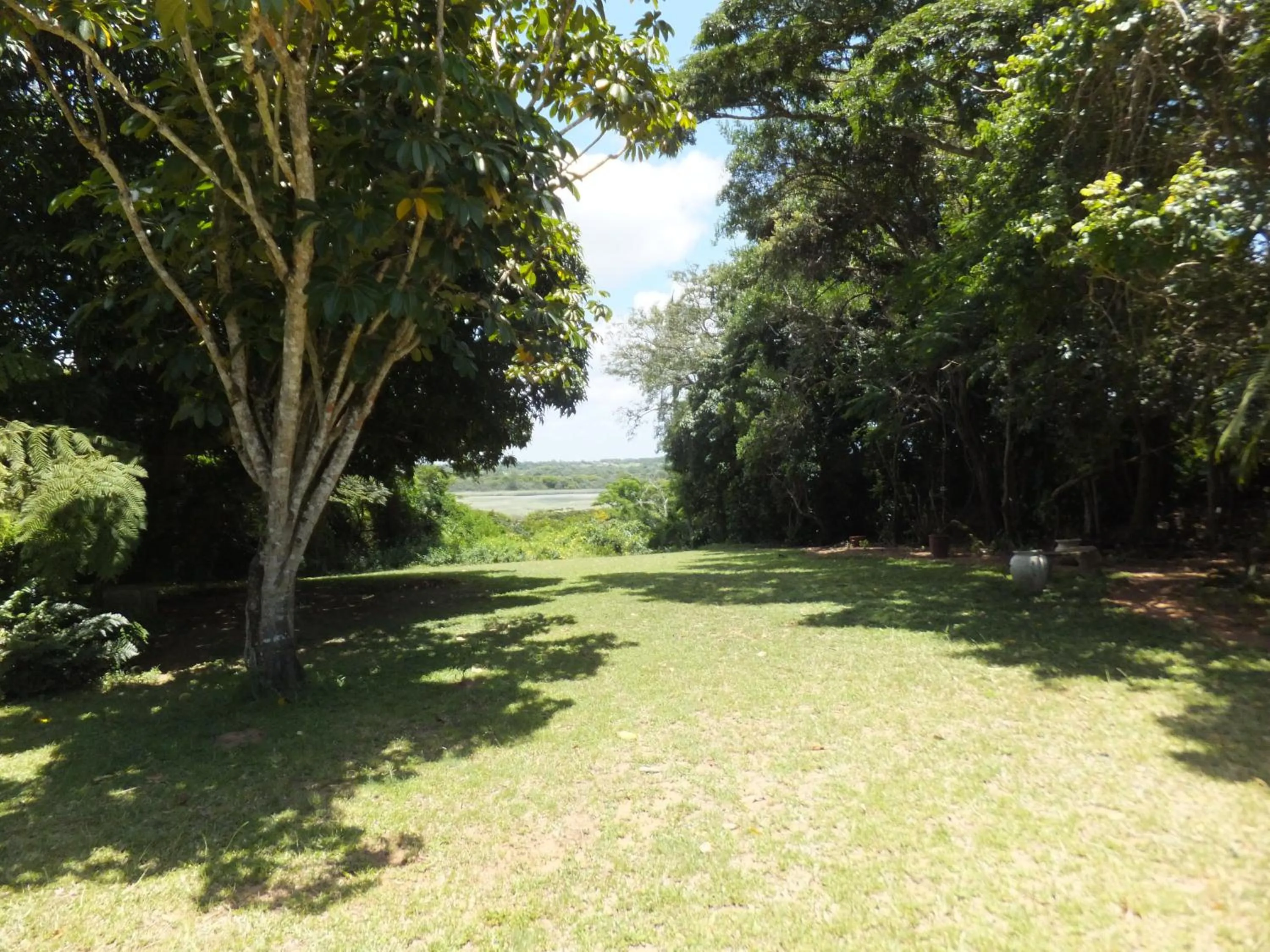Bird's eye view in St Lucia Kingfisher Lodge
