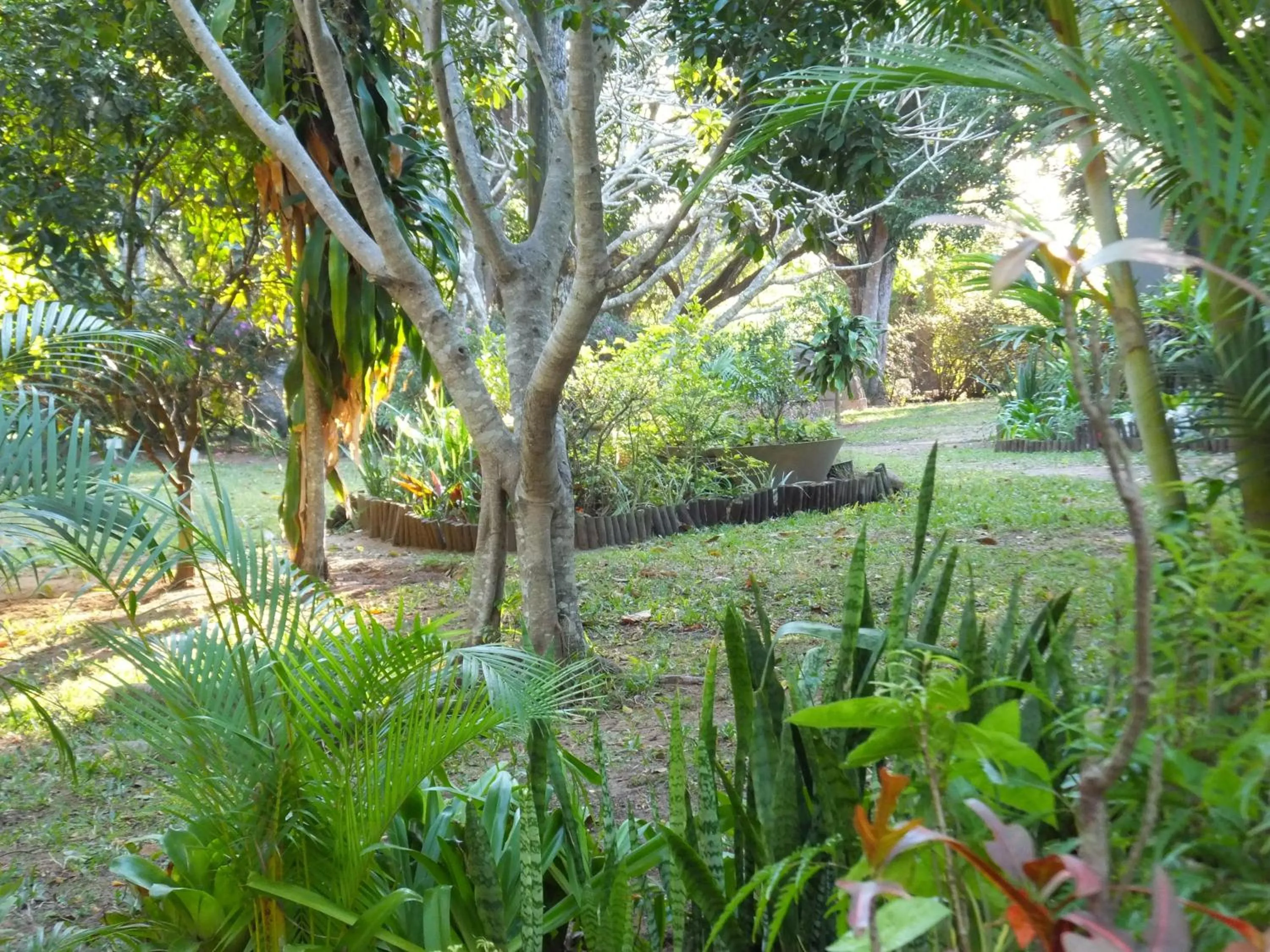 Garden in St Lucia Kingfisher Lodge
