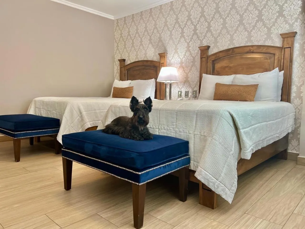 Bed in Hotel Caesars