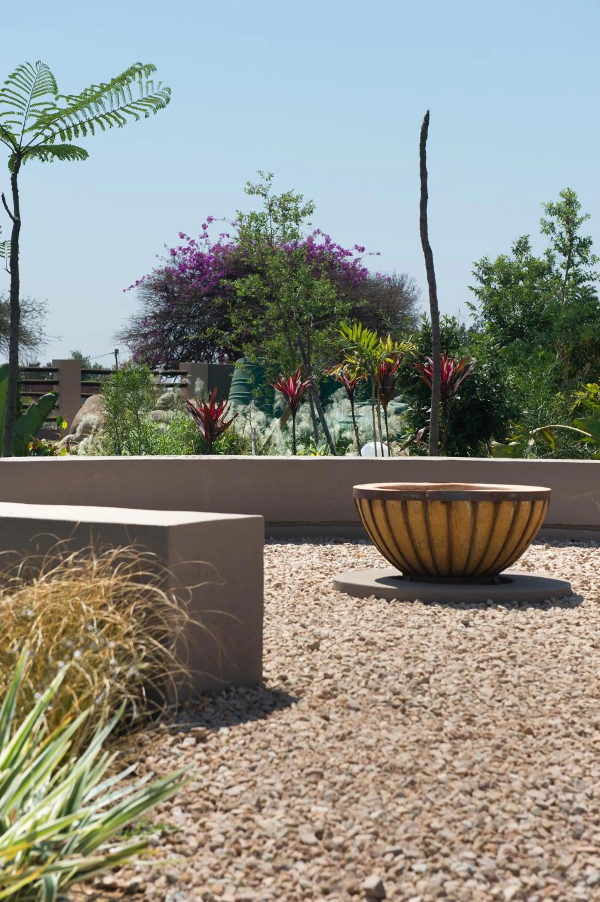 Garden in The Finches Nest