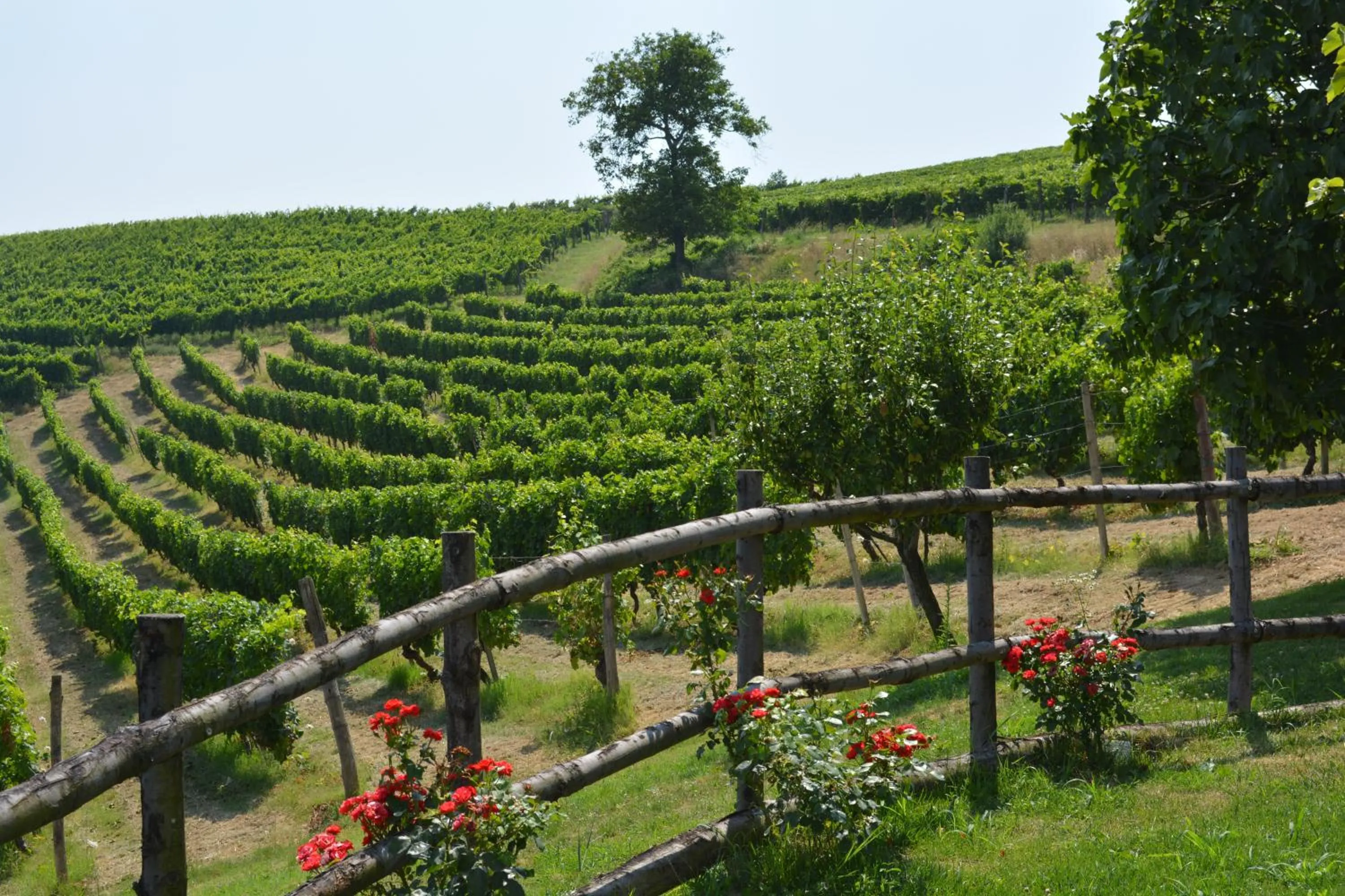 Garden in Cascina Valtignosa Camere Con Vigna
