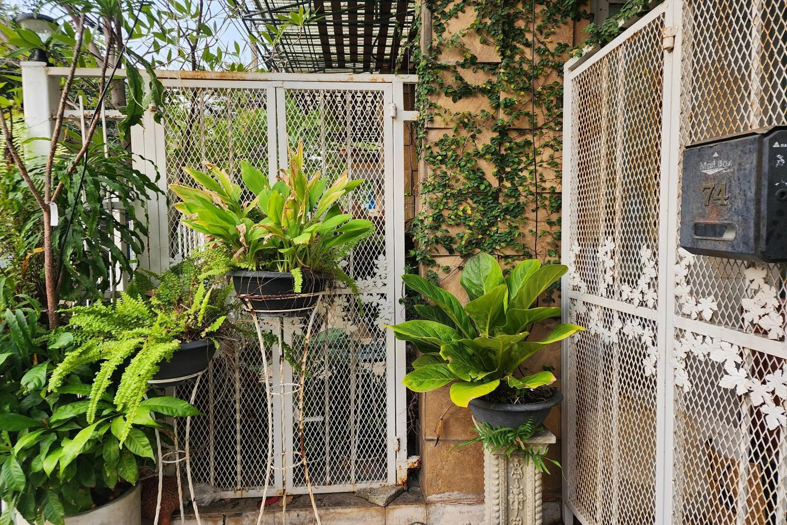 Garden in Baan Nara 15