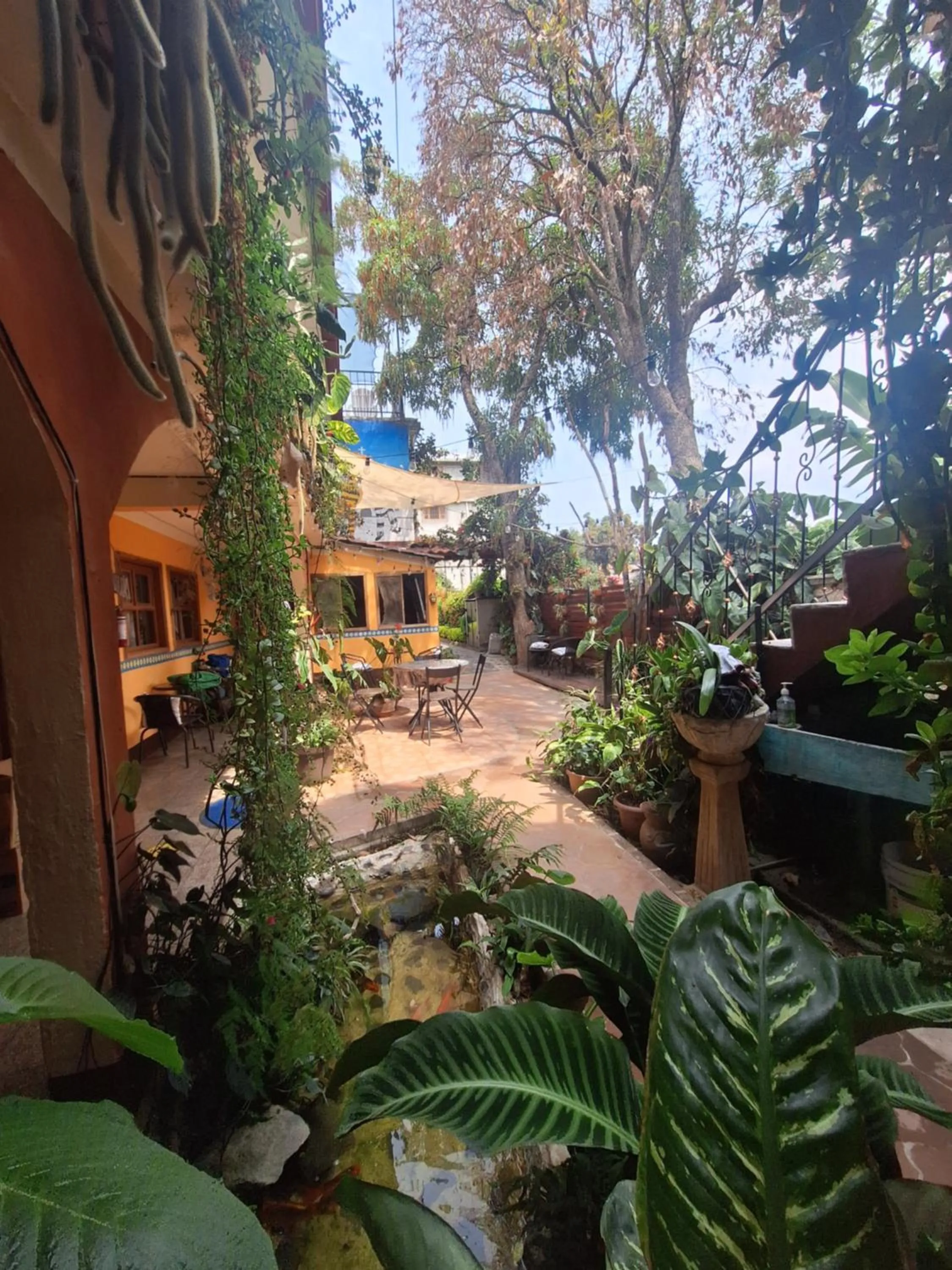 Patio in Hospedaje El Viajero