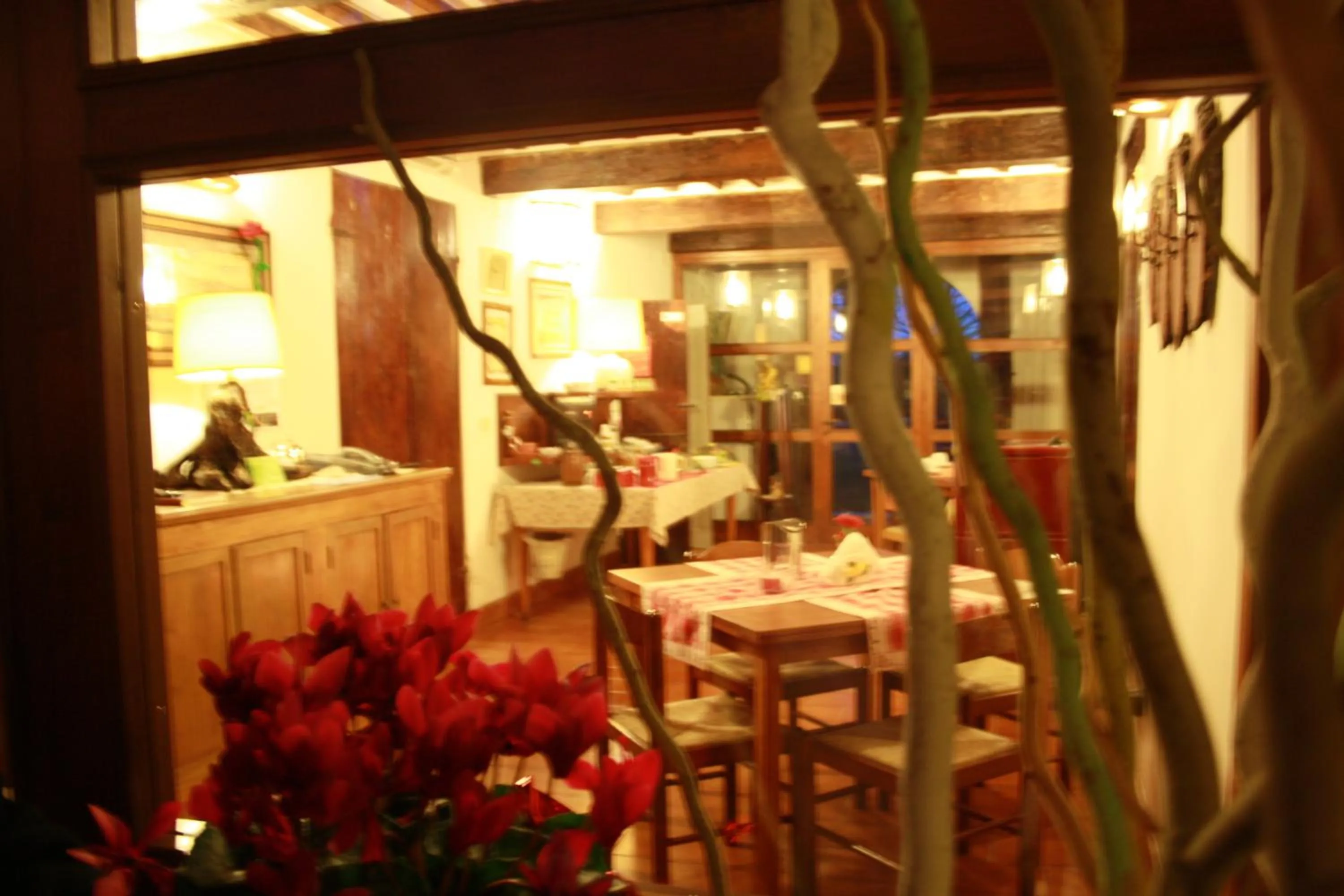 Activities in BeB Reboglio