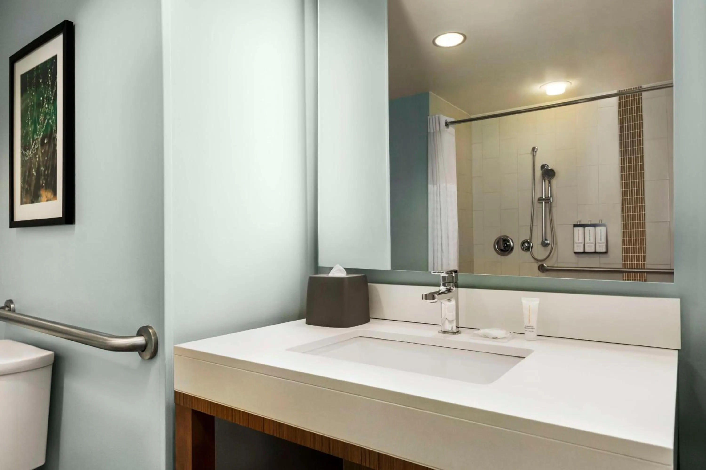 Bathroom in Hyatt Place Columbia/Downtown/The Vista