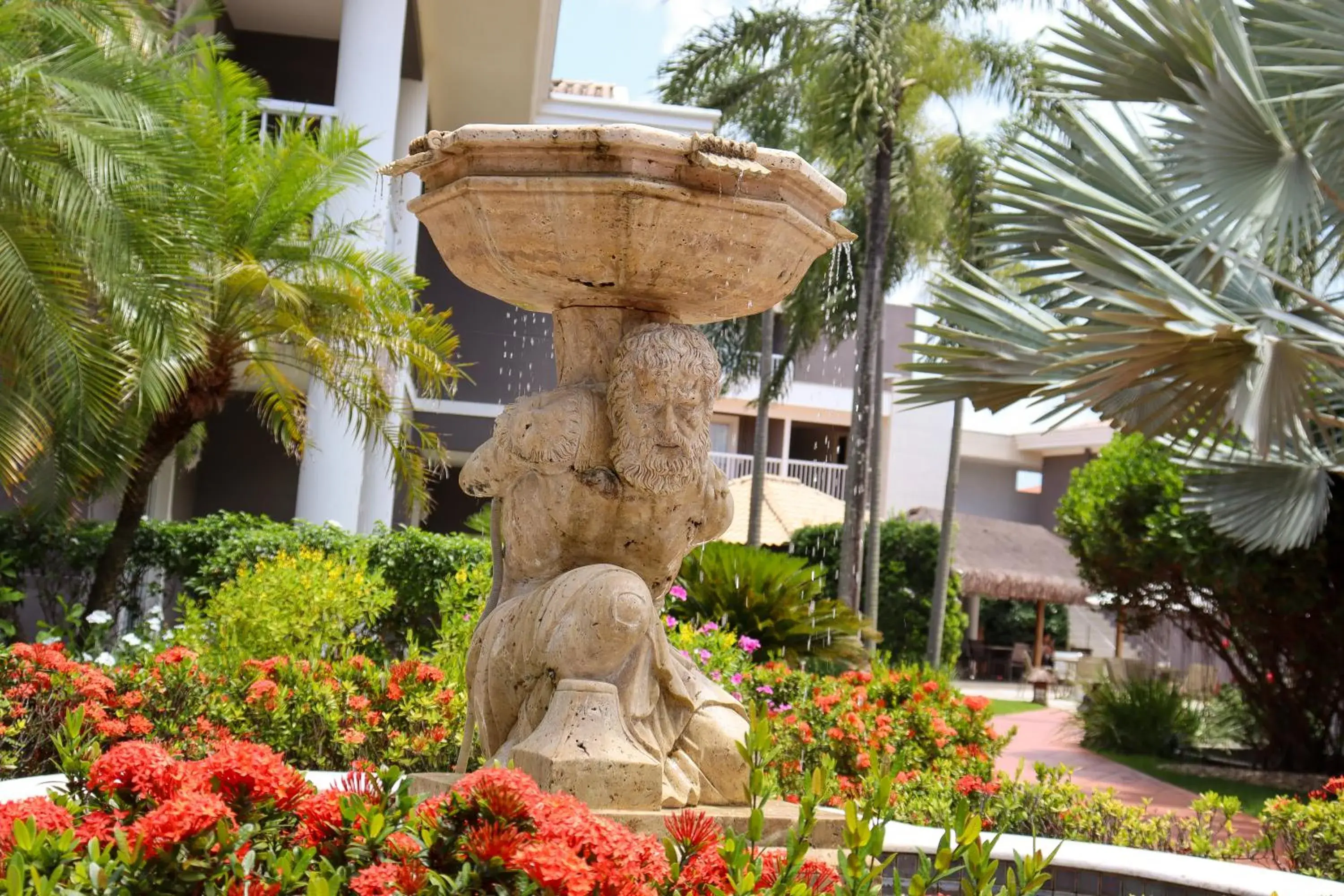 Garden view in Hotel Coral Beach Garden view in Hotel Coral Beach