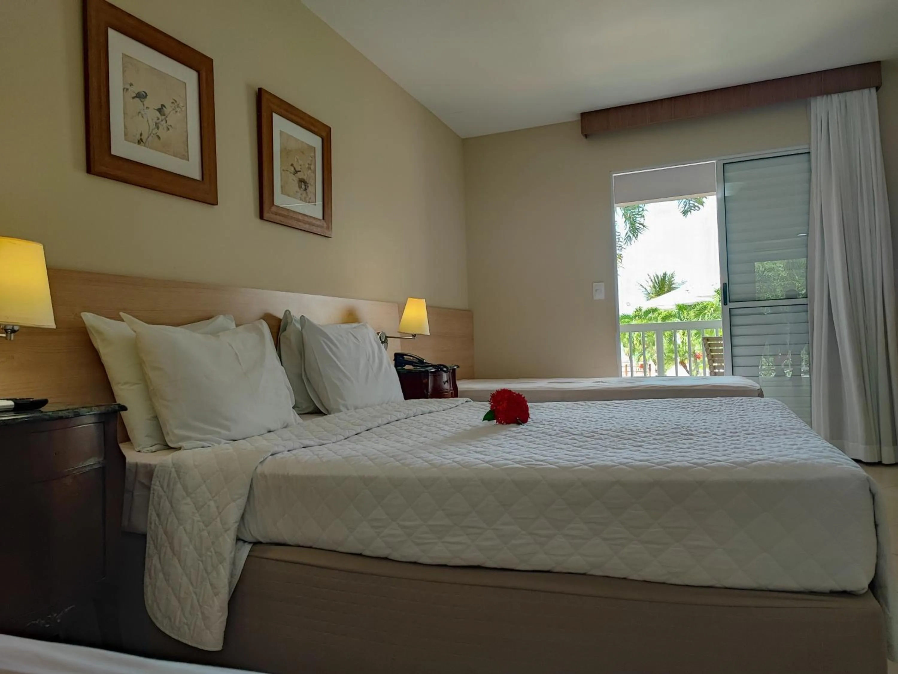 Photo of the whole room, Bed in Hotel Coral Beach