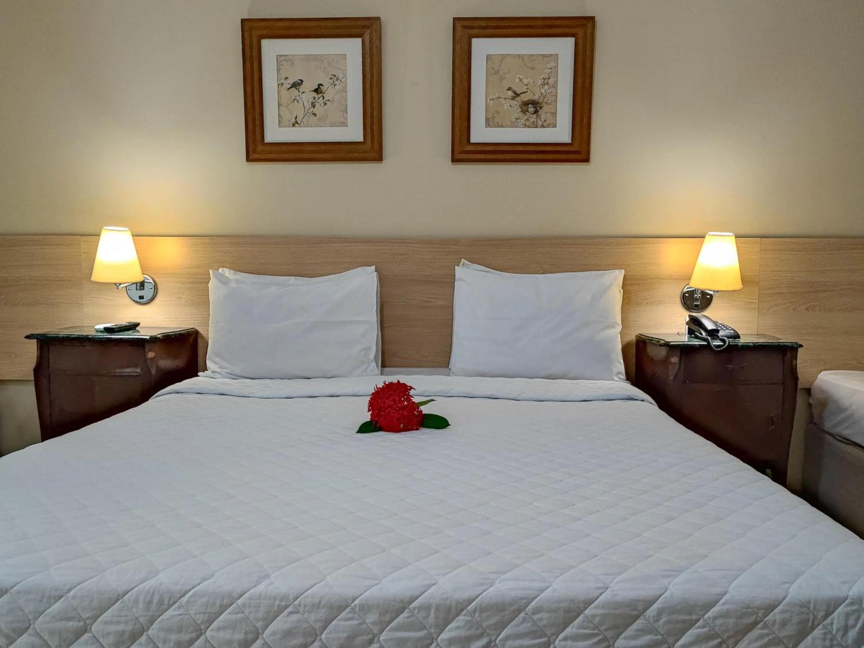 Photo of the whole room, Bed in Hotel Coral Beach