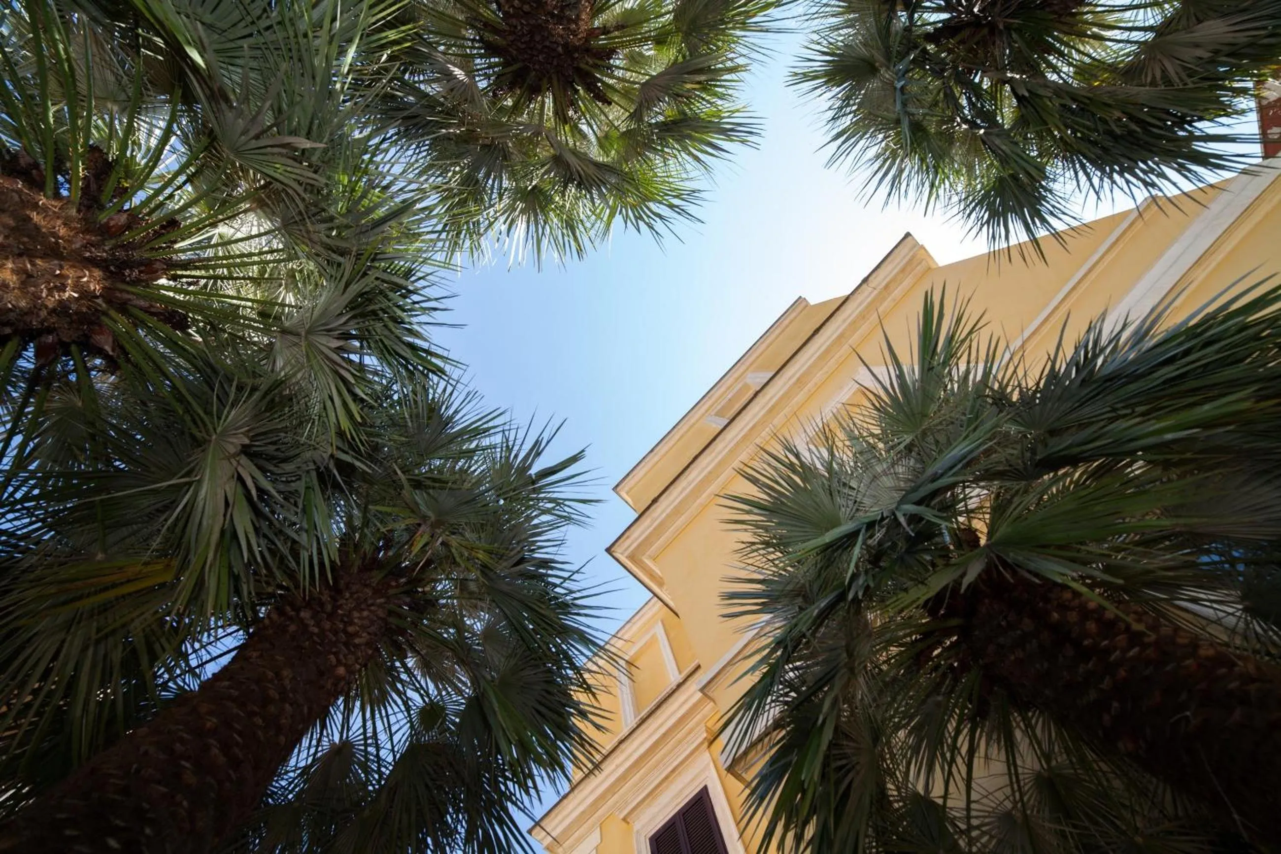Garden in Villa Paganini B&B