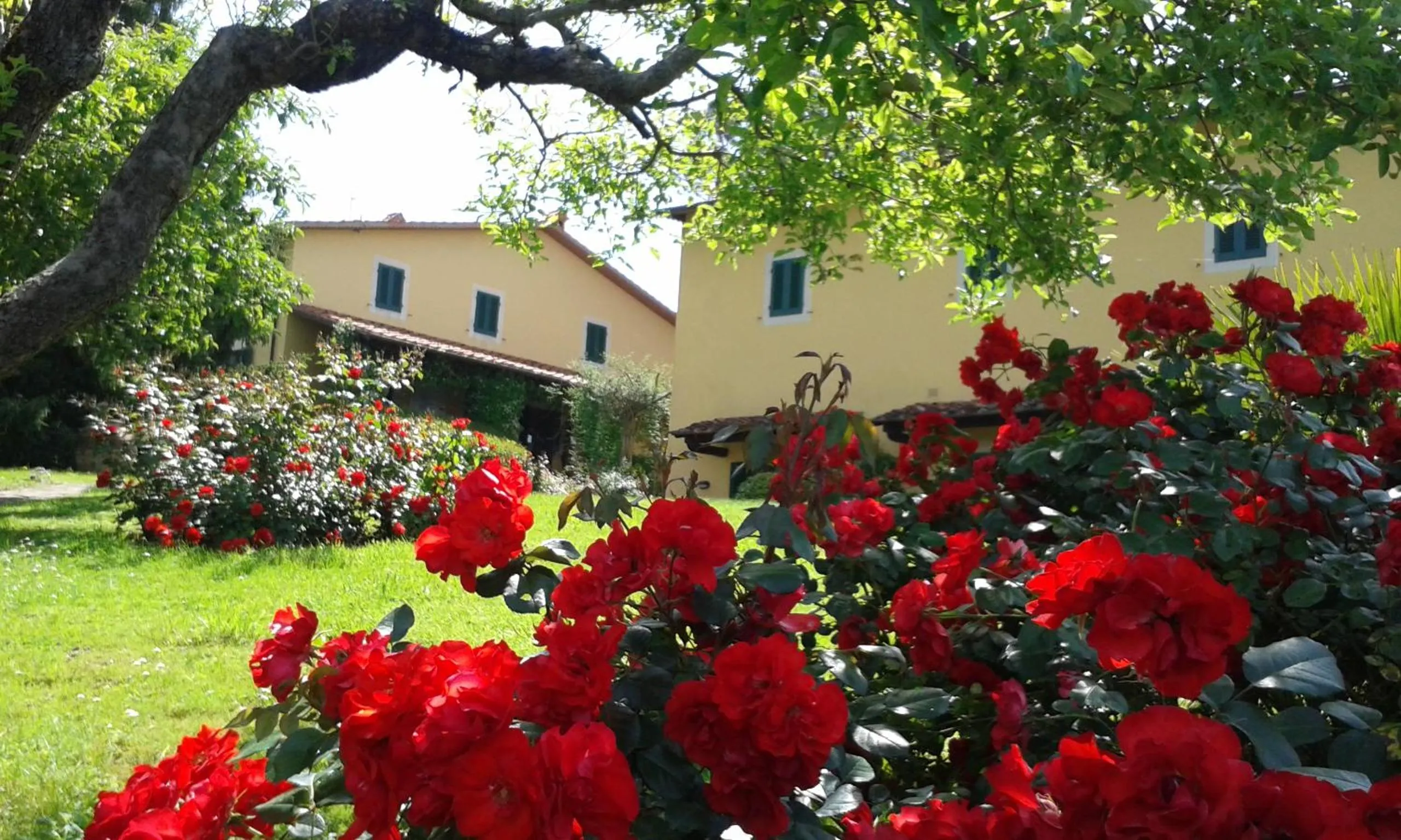 Garden in Casa Vacanze Casa Italia