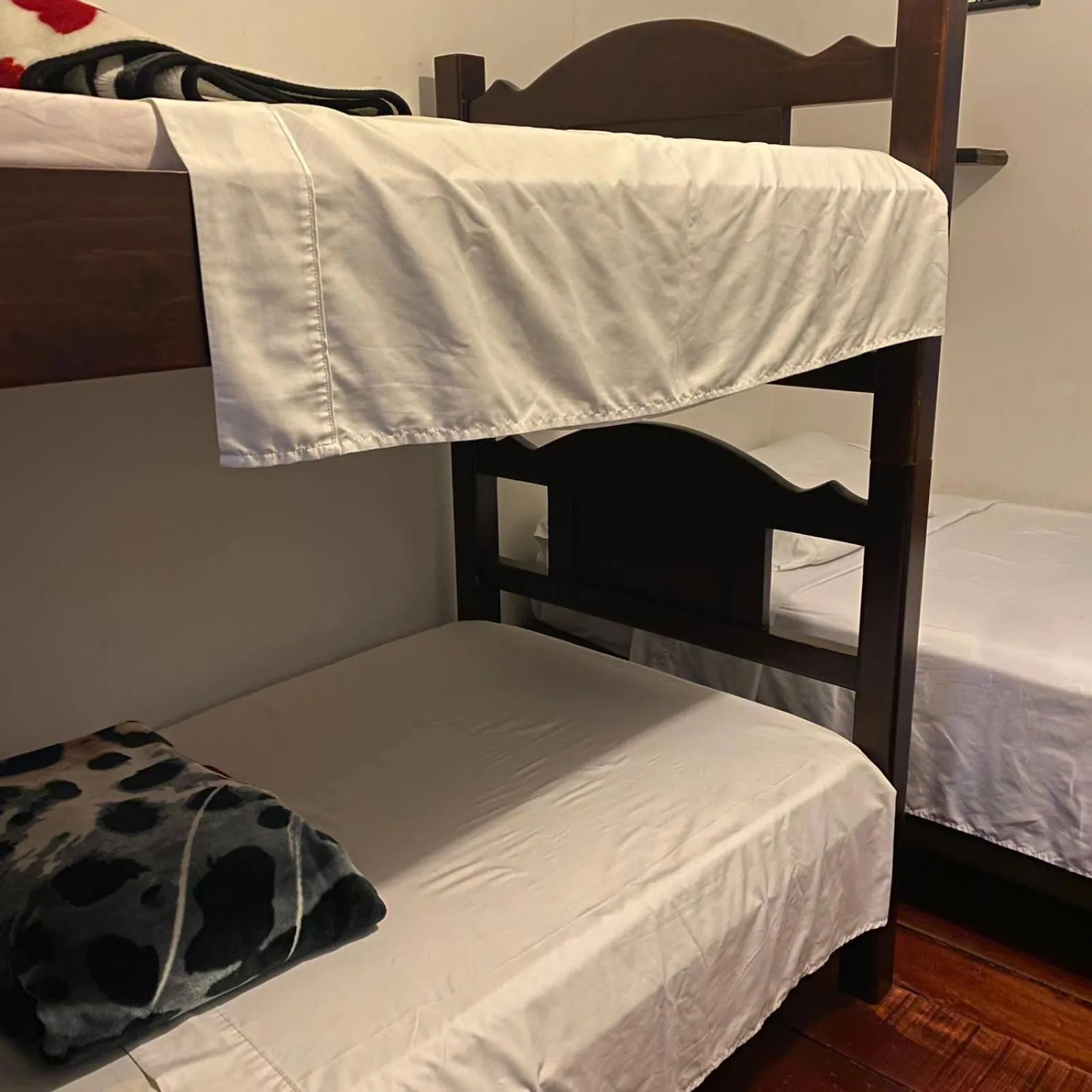 Bed in Hostal Bosque de Niebla