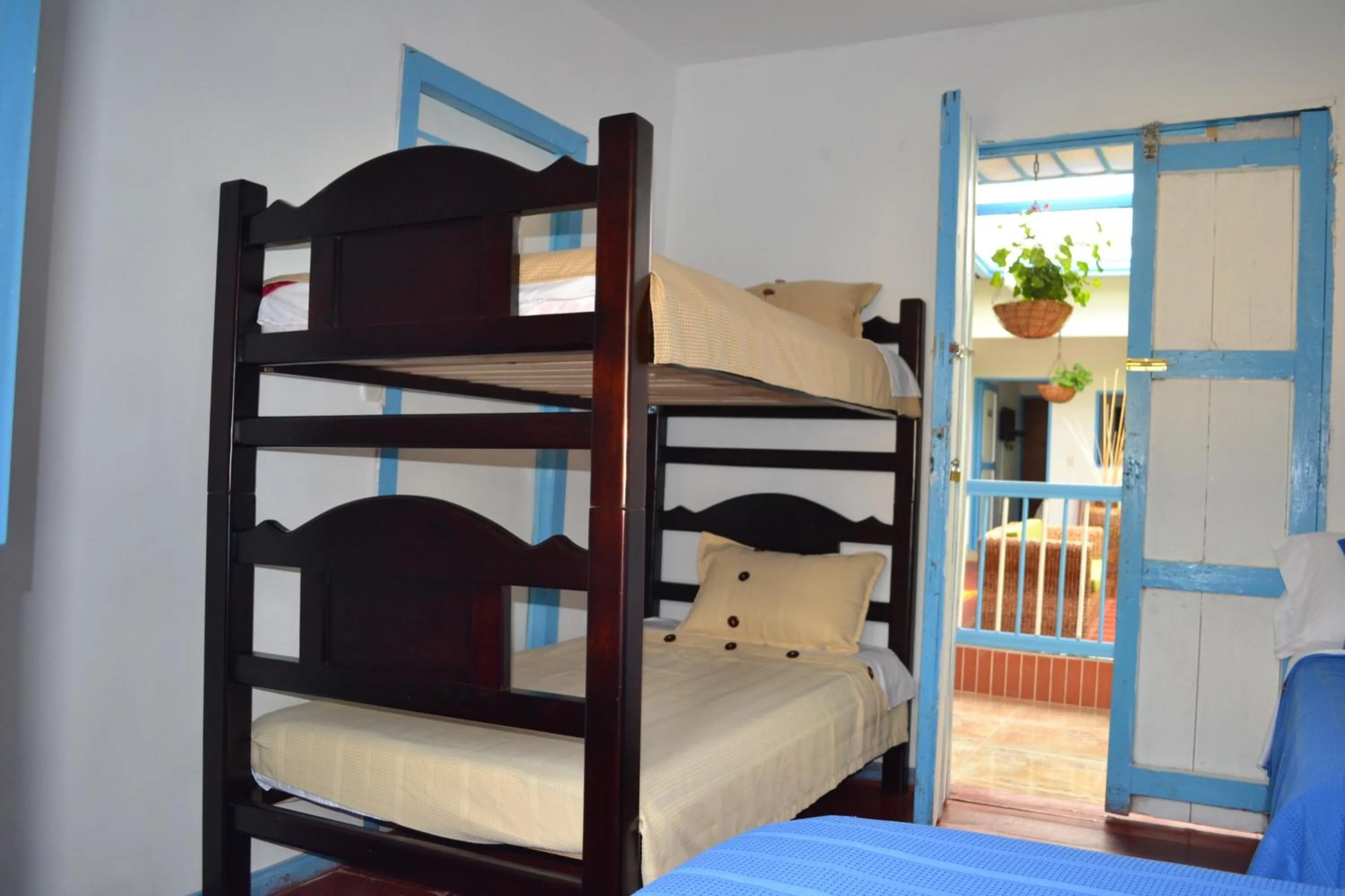 Day, Bed in Hostal Bosque de Niebla