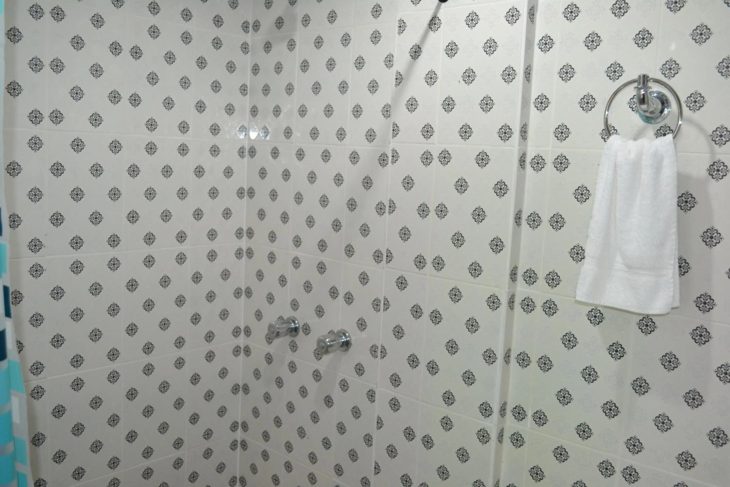 Bathroom in Hostal Bosque de Niebla