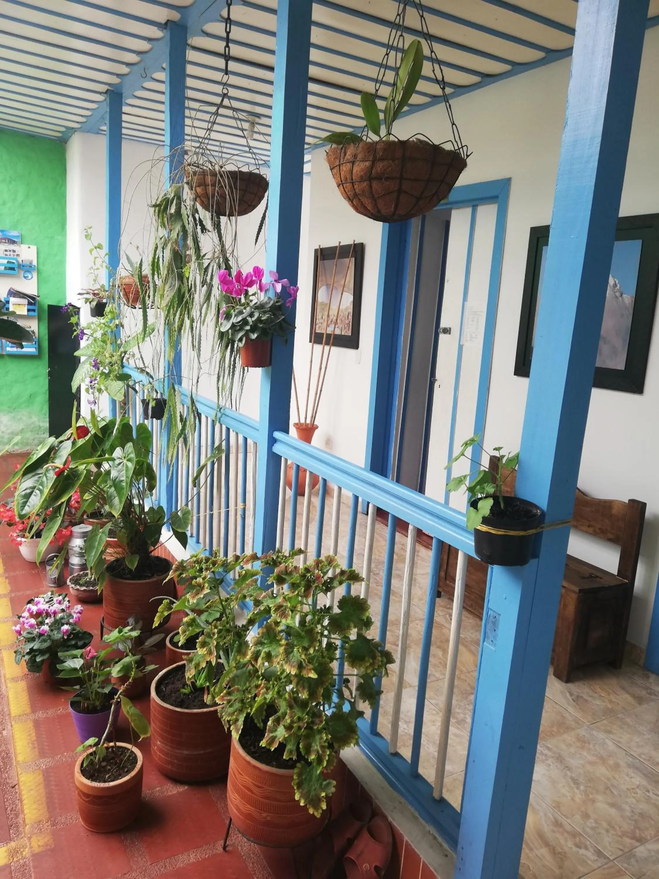 Hostal Bosque de Niebla