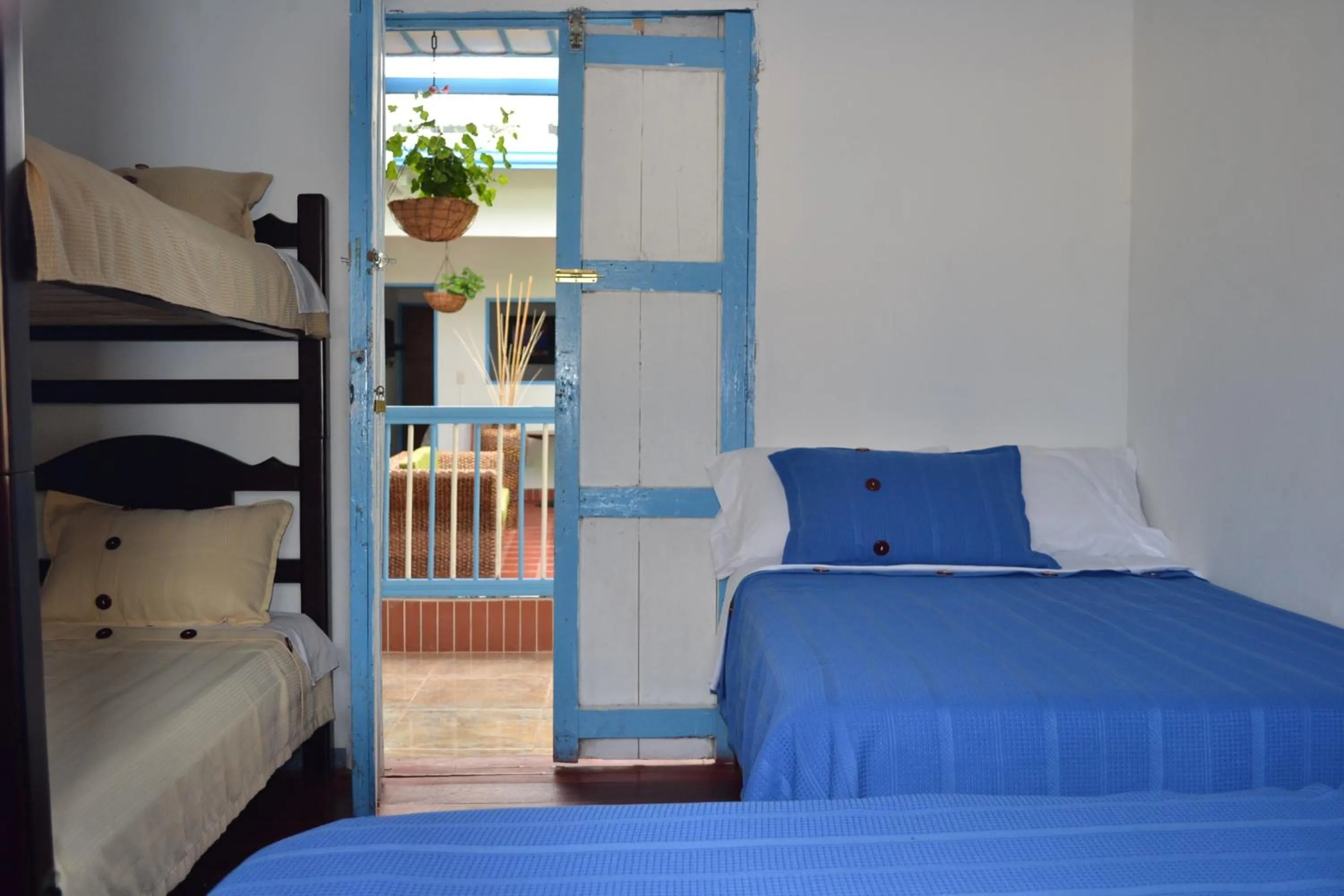 Day, Bed in Hostal Bosque de Niebla