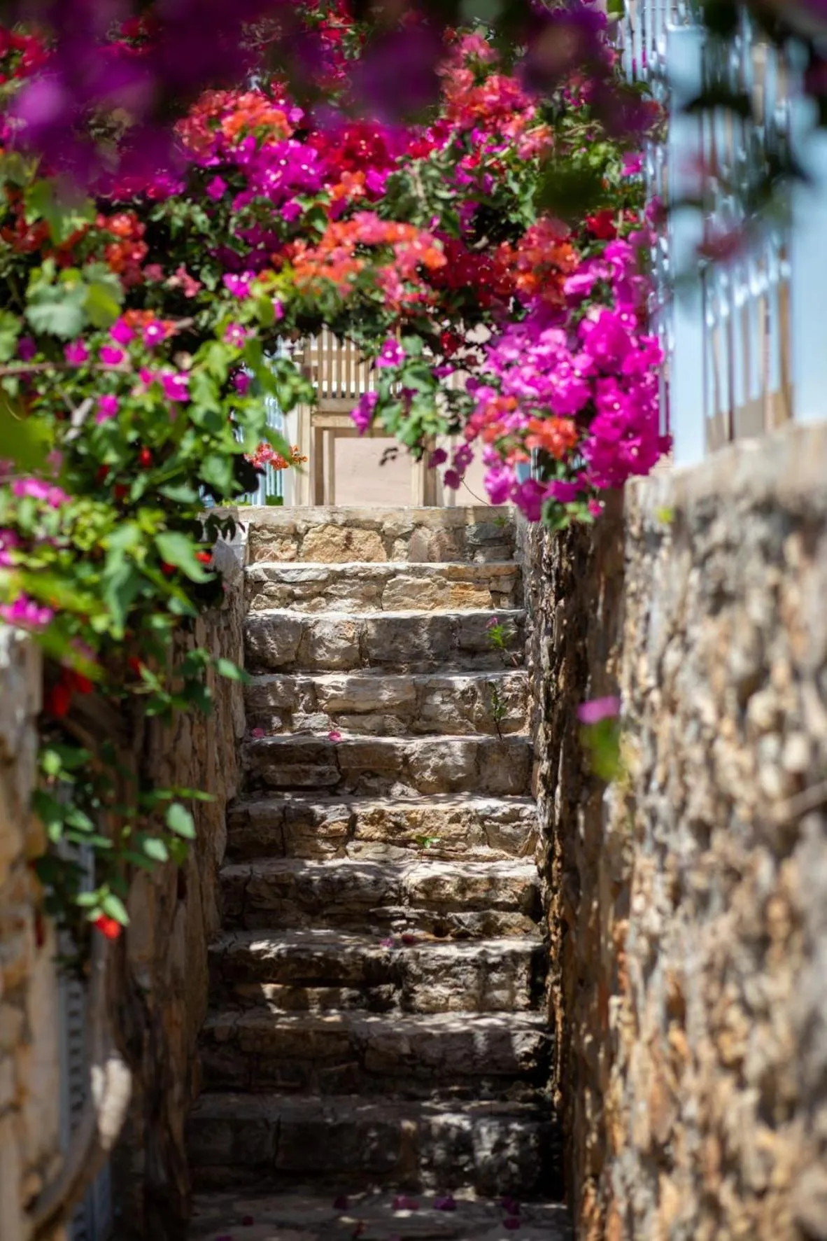 Garden in Beyaz Yunus Hotel - Adult Only