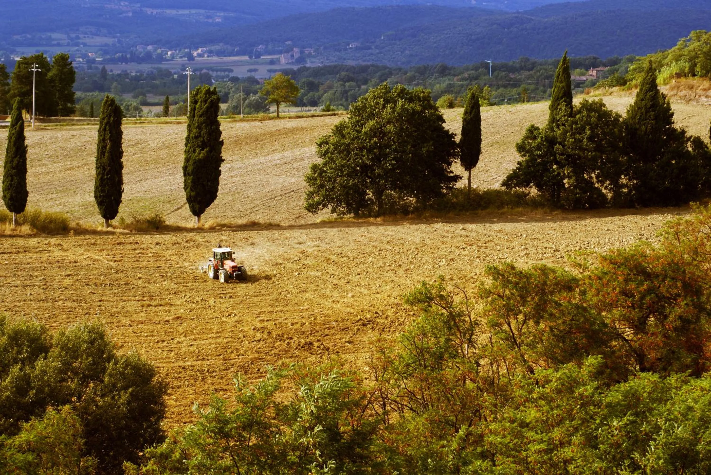 View (from property/room) in Hotel Castello