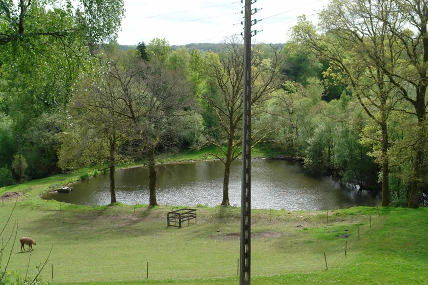 Garden view in Les Etangs de Pitié