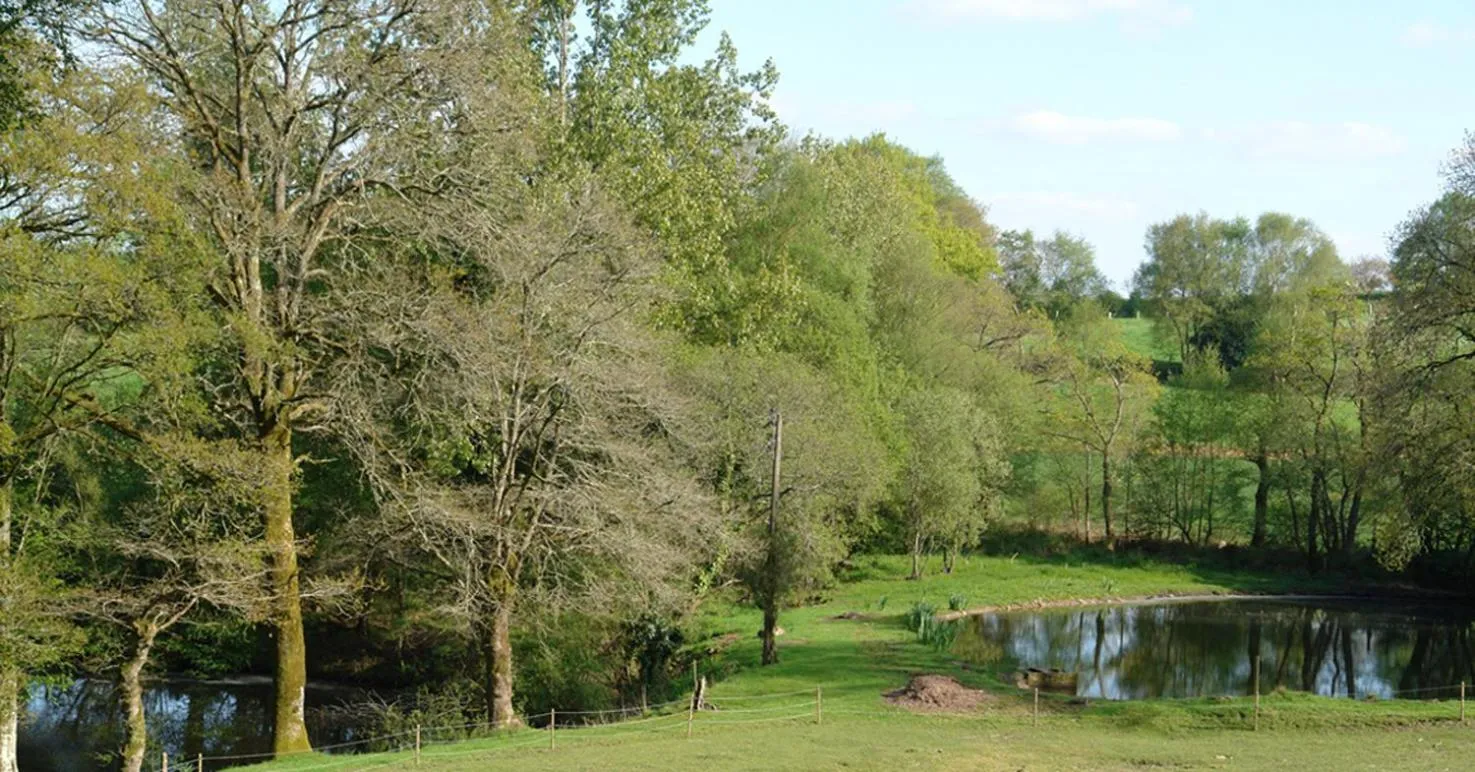 Garden view in Les Etangs de Pitié