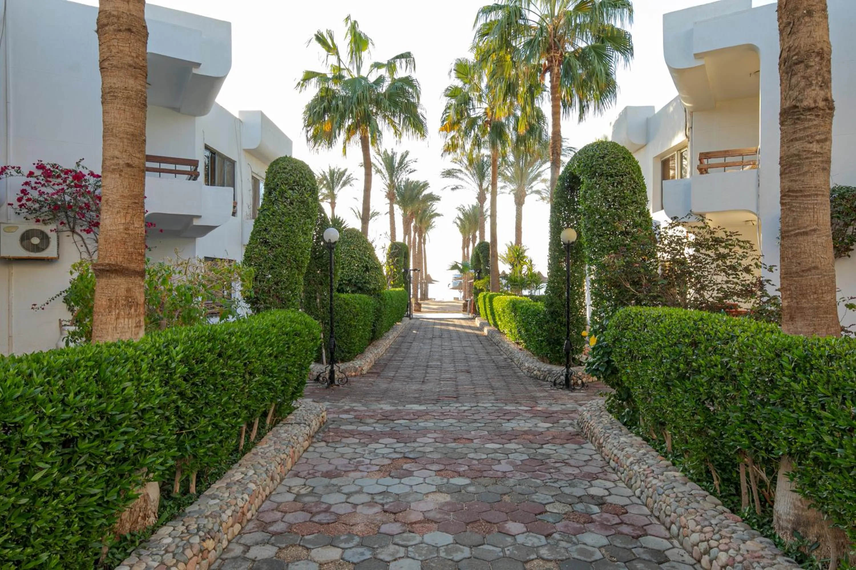 Garden view in Marlin Inn Azur Resort