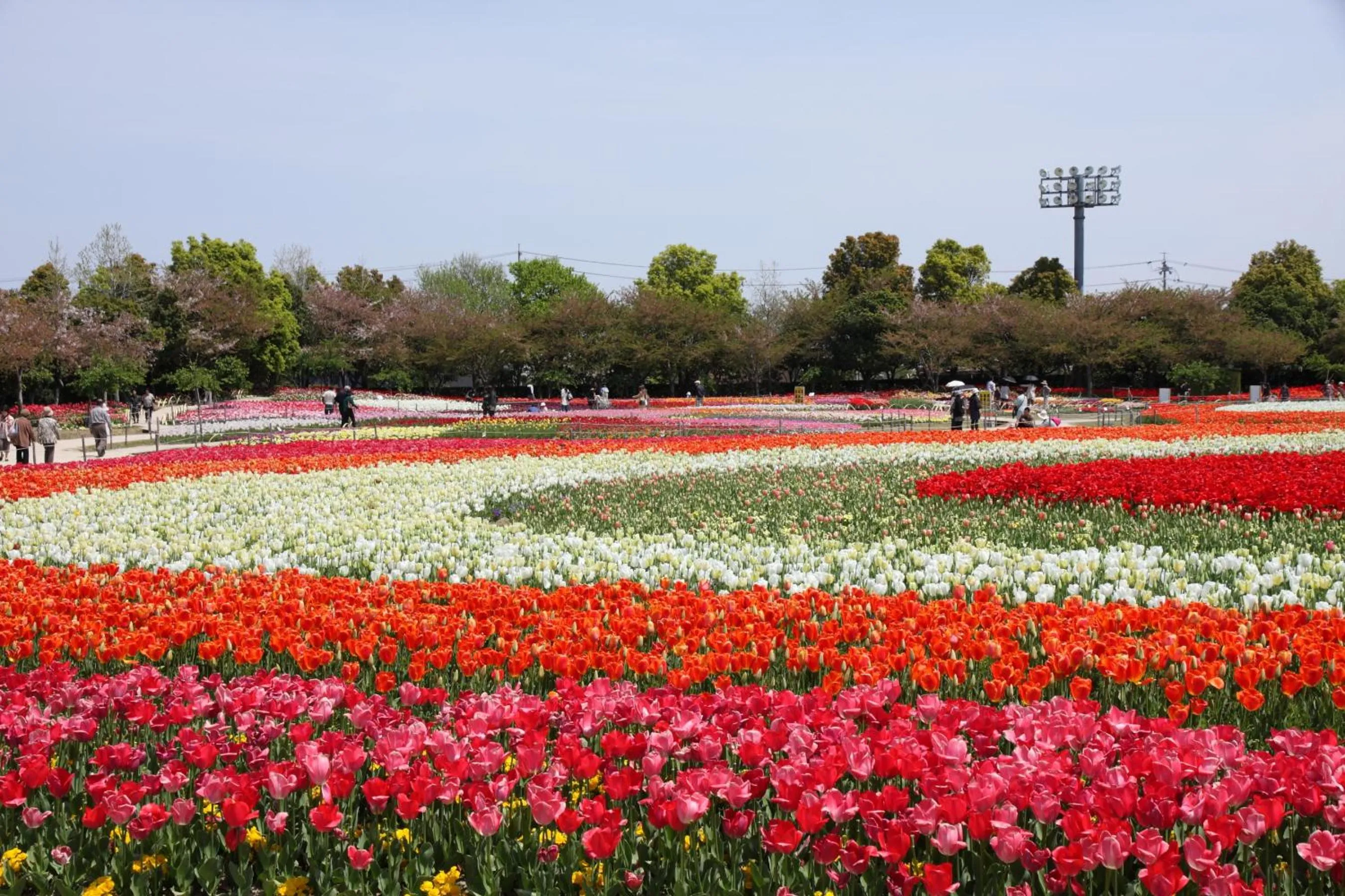 Nearby landmark in Saiou no Miya