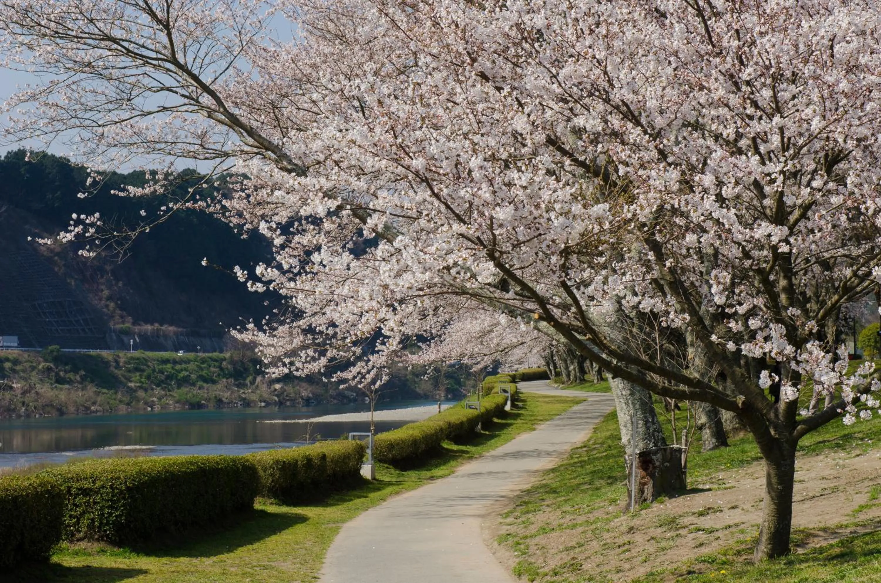 Nearby landmark in Saiou no Miya