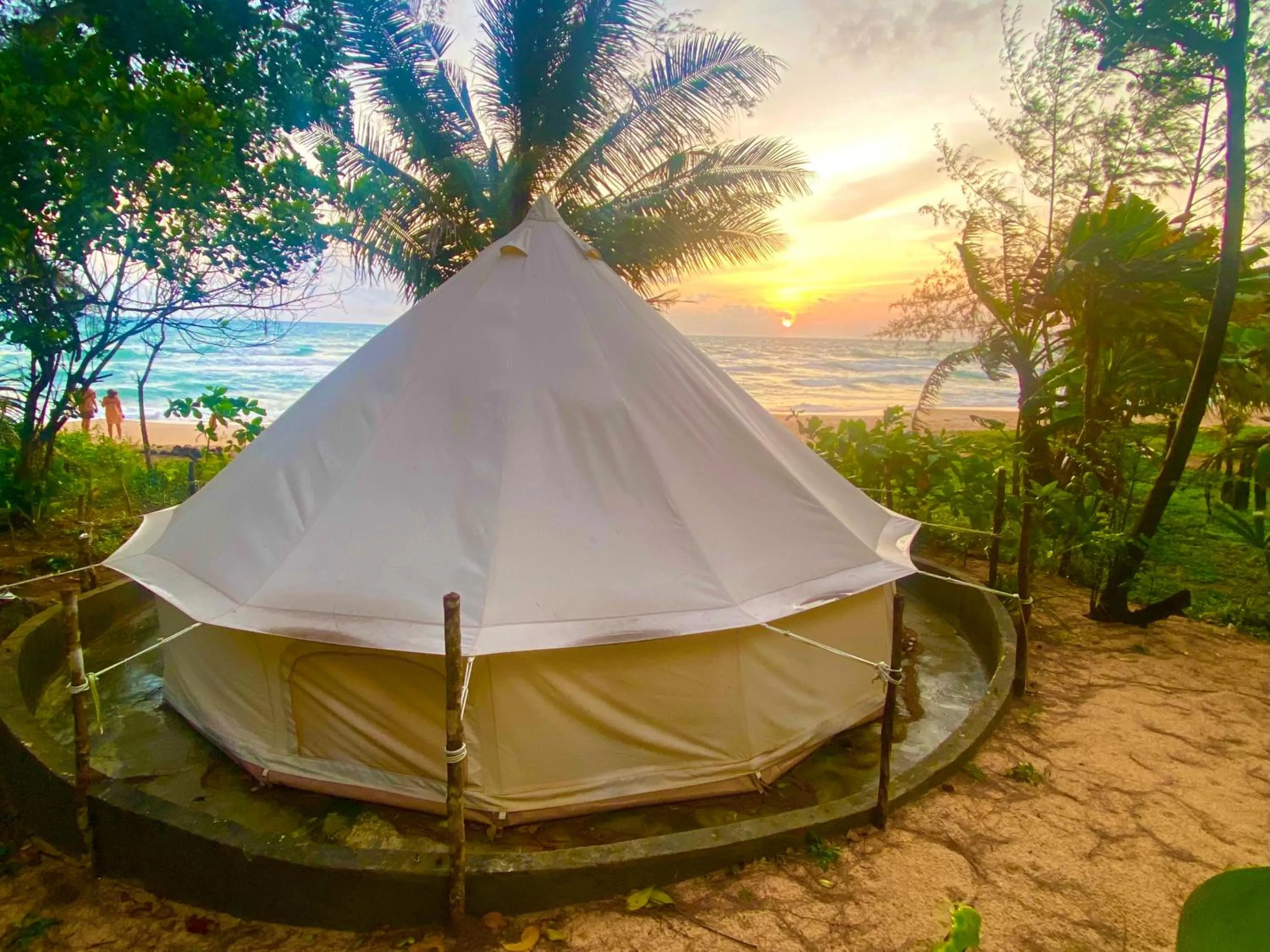 Property building in Robinson Bungalows