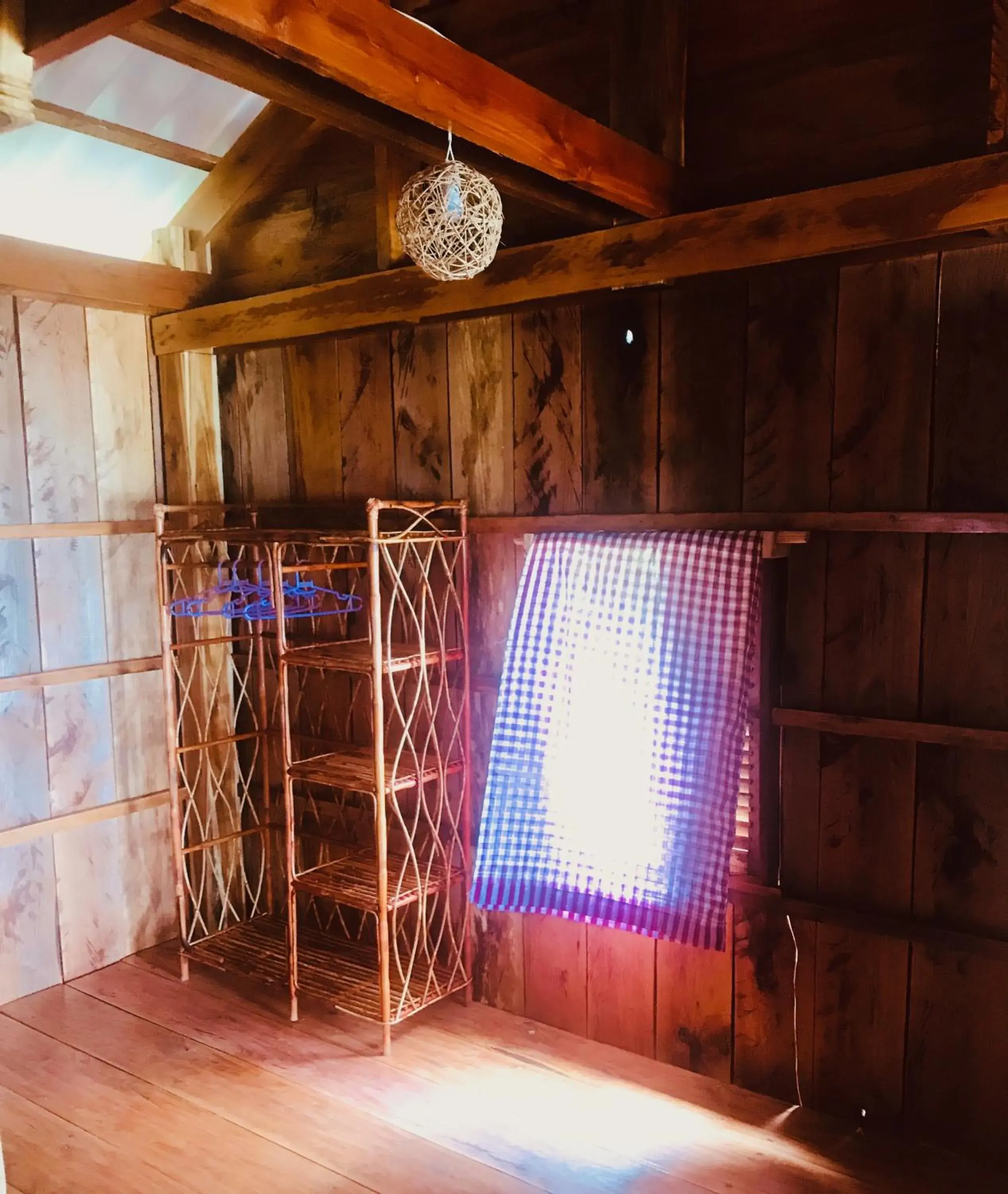 Photo of the whole room in Robinson Bungalows Photo of the whole room in Robinson Bungalows