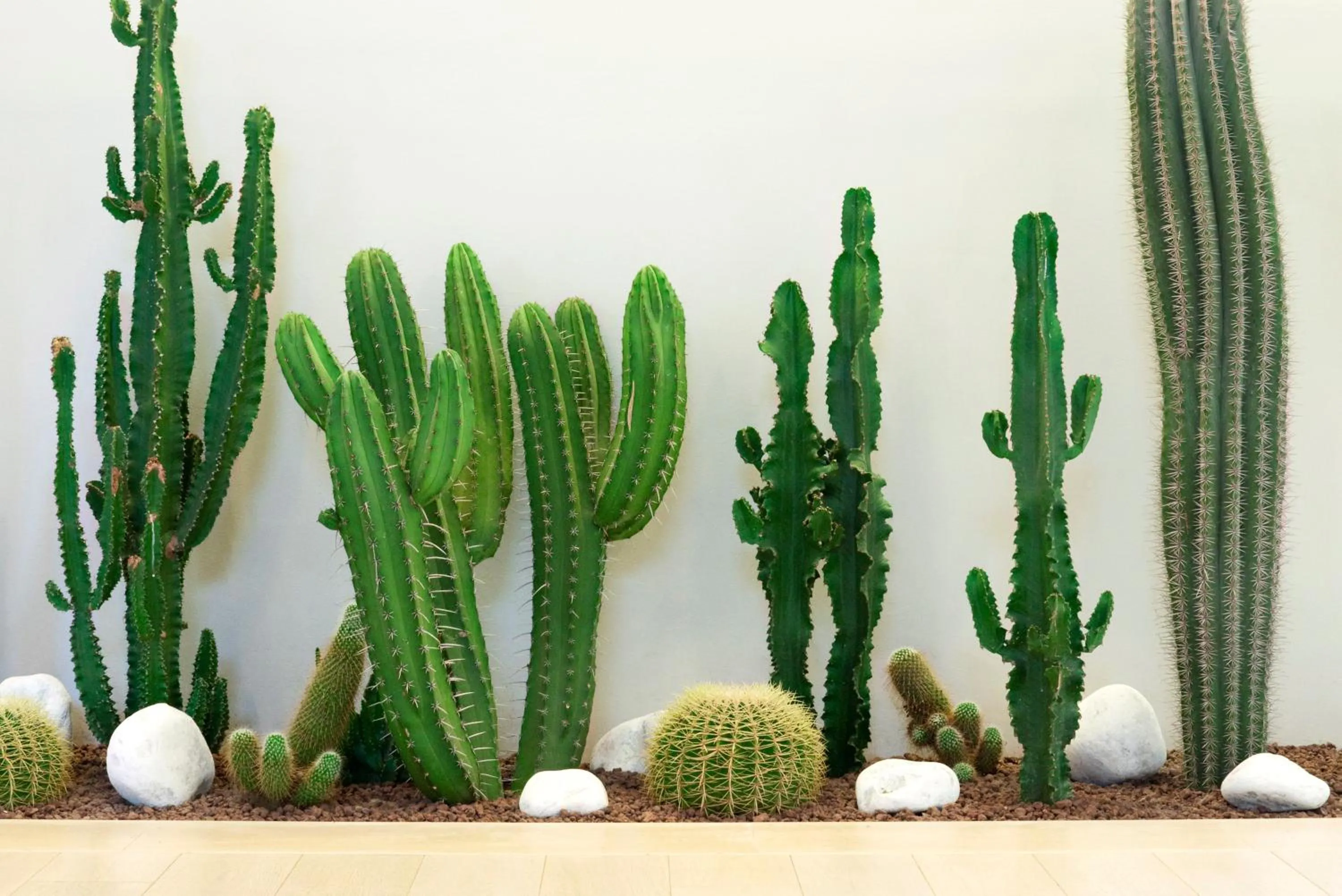 Garden in Versilia Lido | UNA Esperienze