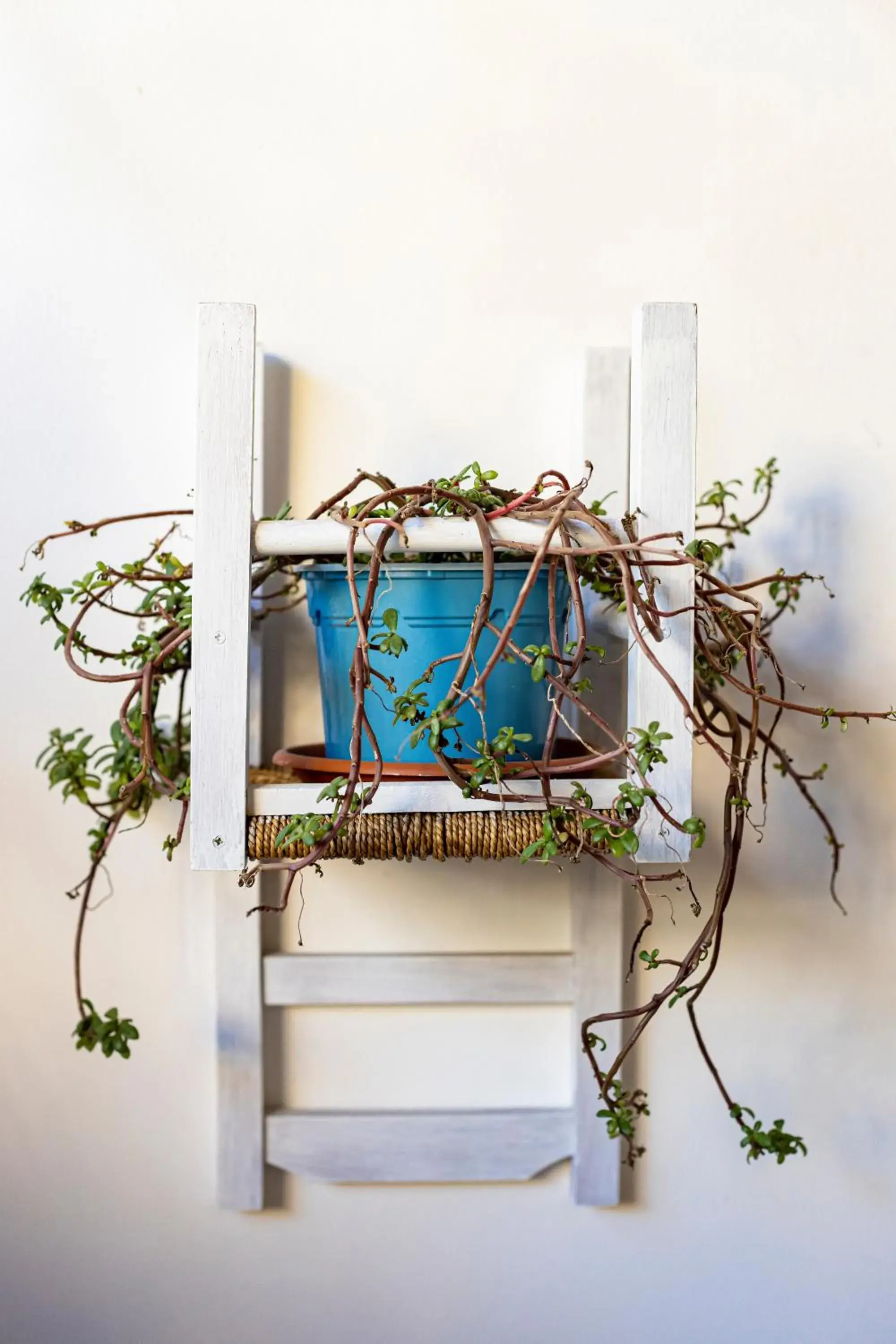 Decorative detail in Trapani Home Decorative detail in Trapani Home