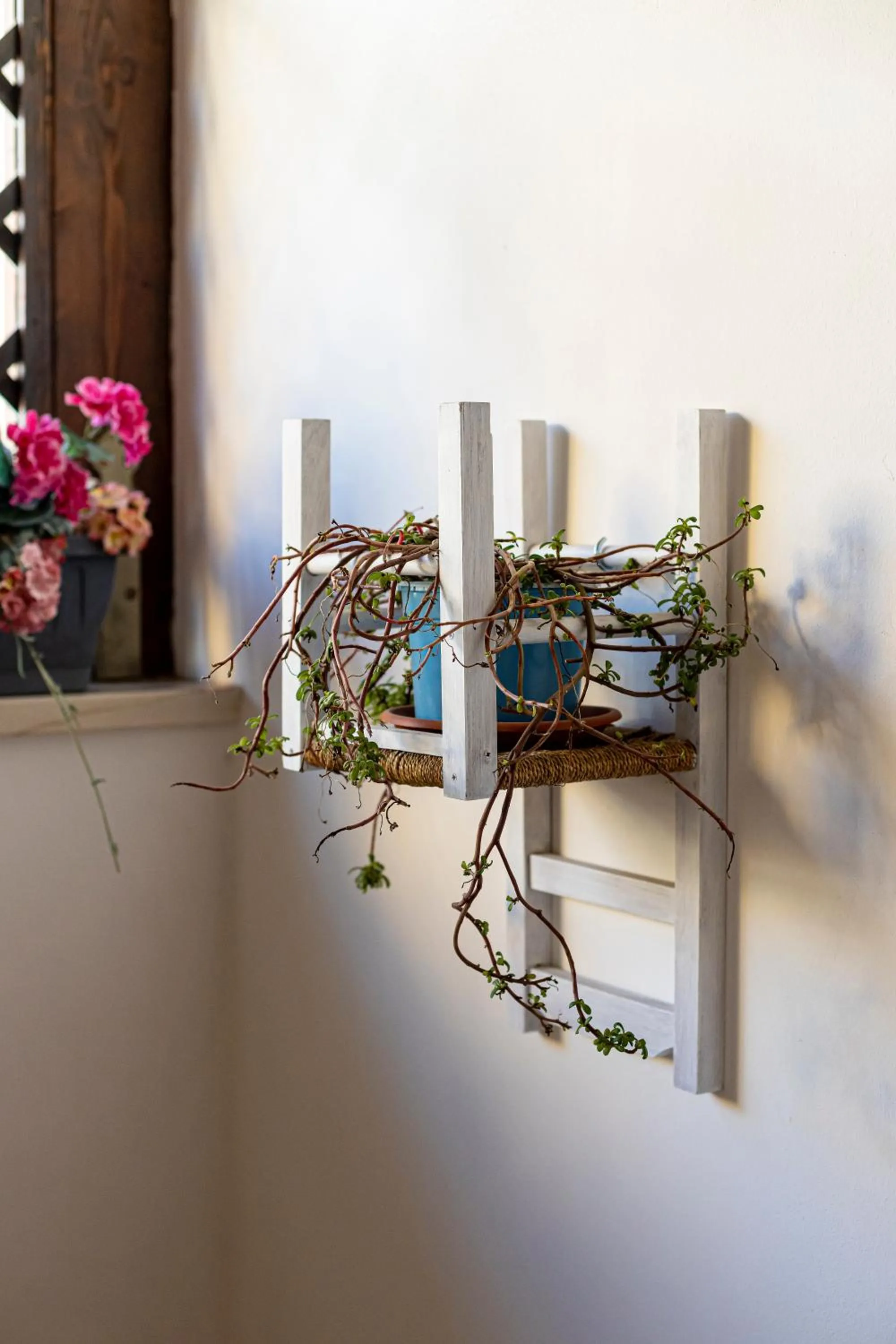 Balcony/Terrace in Trapani Home