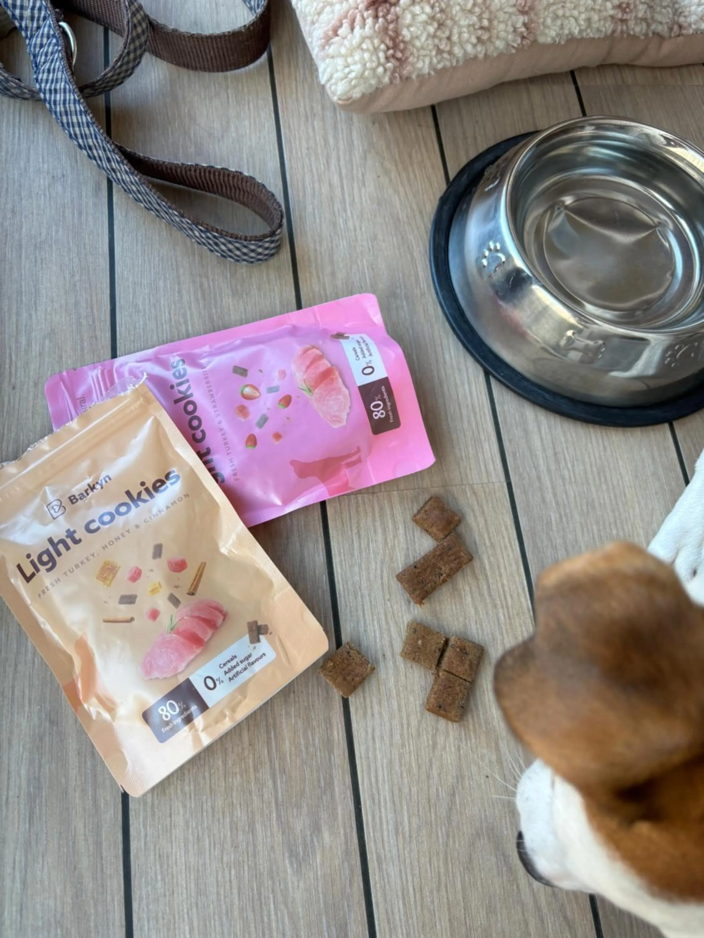 pet friendly in Naitly Milano Dergano