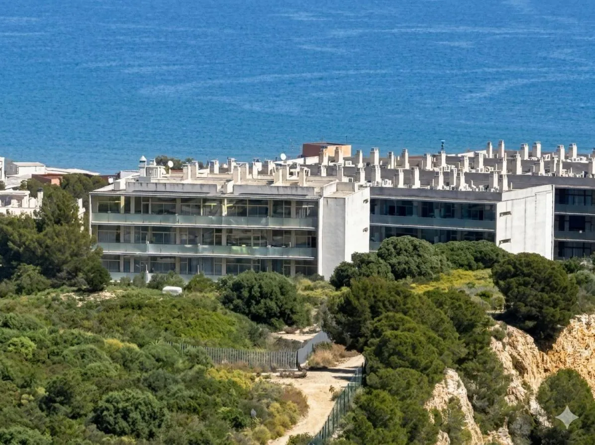 Apolo Suites Rentalmar
